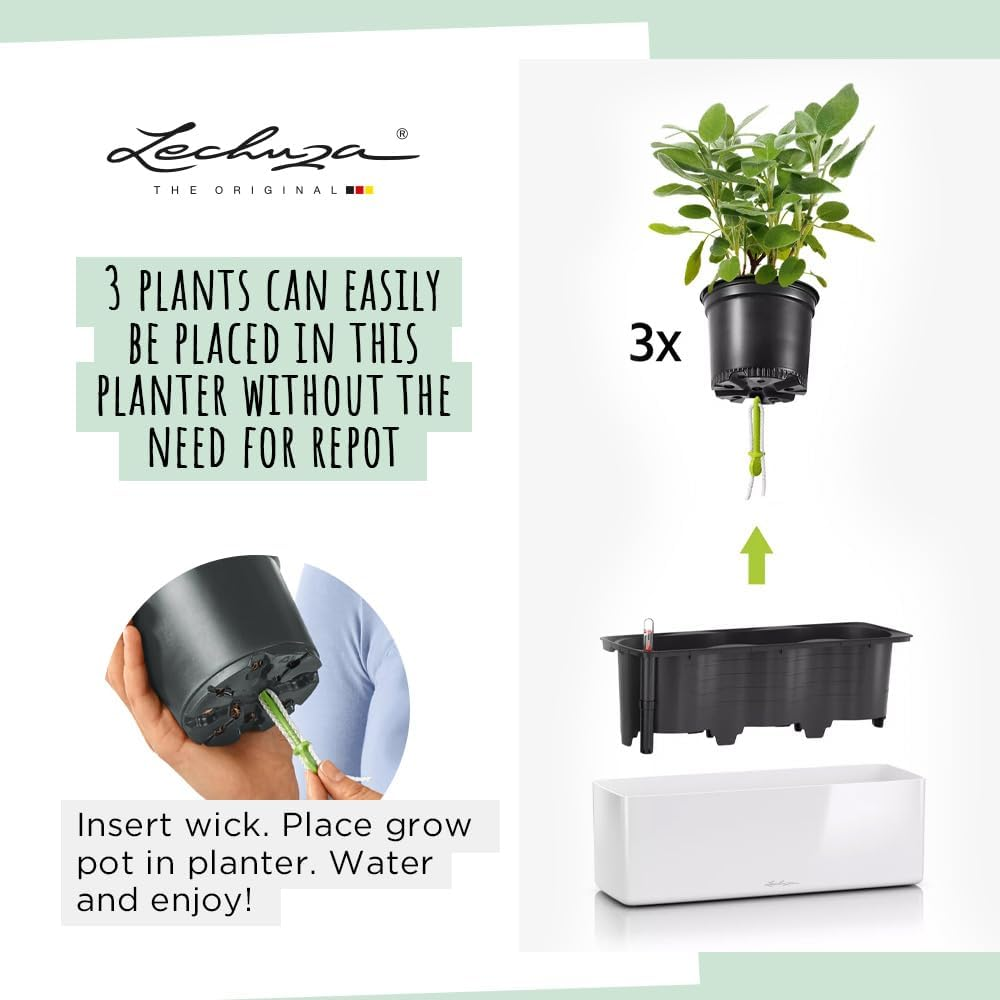 Lechuza Cube Glossy Triple Self-Watering Planter, Charcoal image number 2