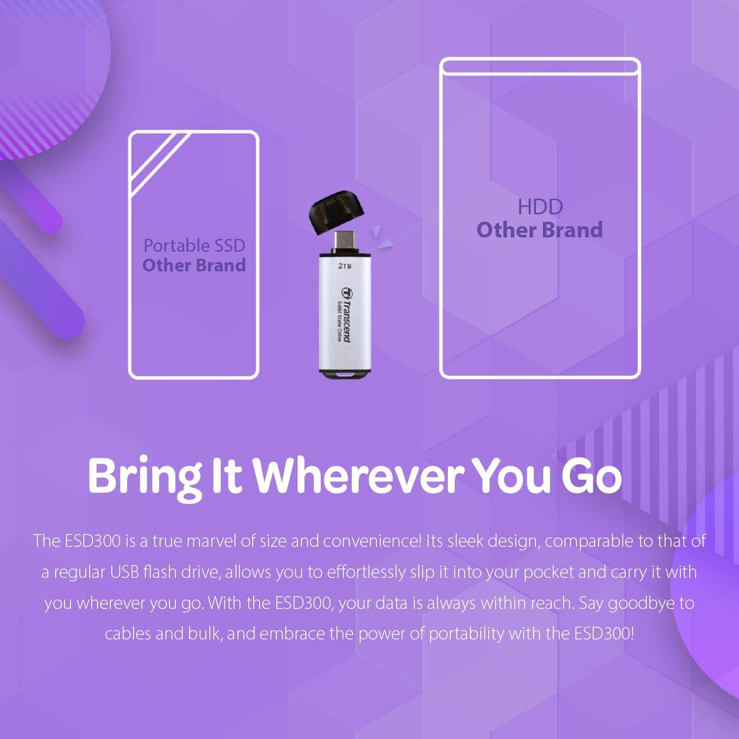 2TB Portable Solid State Drive 300S