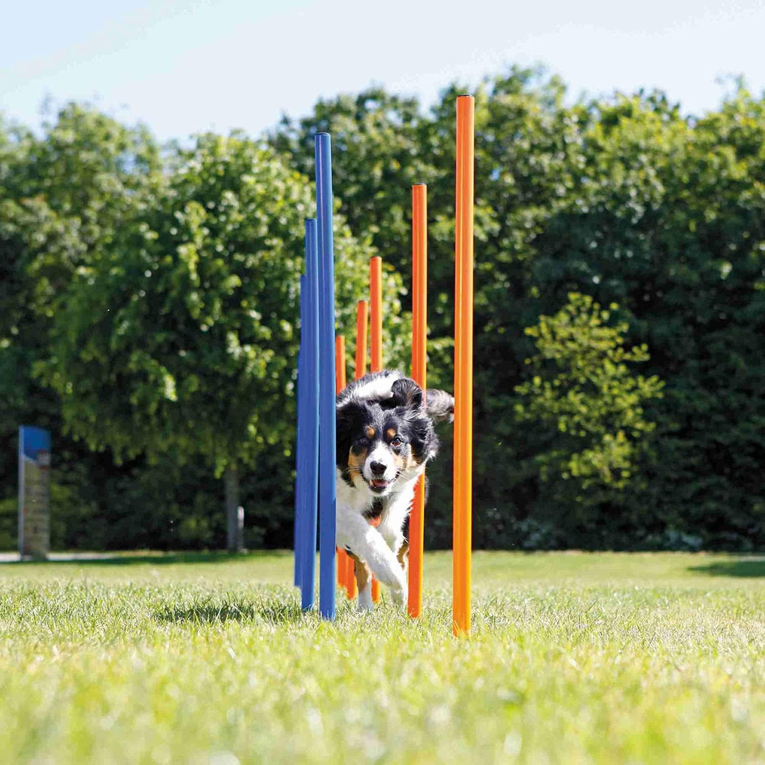 Dog Agility Weave Poles Dog Agility Training Equipment with Adjustable Spacing for Dog Obstacle Course Outdoor, Keep Pets Healthy image number 1
