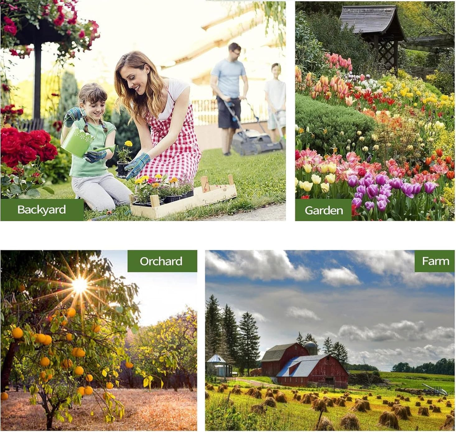 12 Inch Stainless Steel Soil Sampler Probe, T-Style Handle Soil Test Probe, Soil Probe for Soil Sampling, Soil Test Kit for Plant Care, Farm, Lawn Garden image number 5