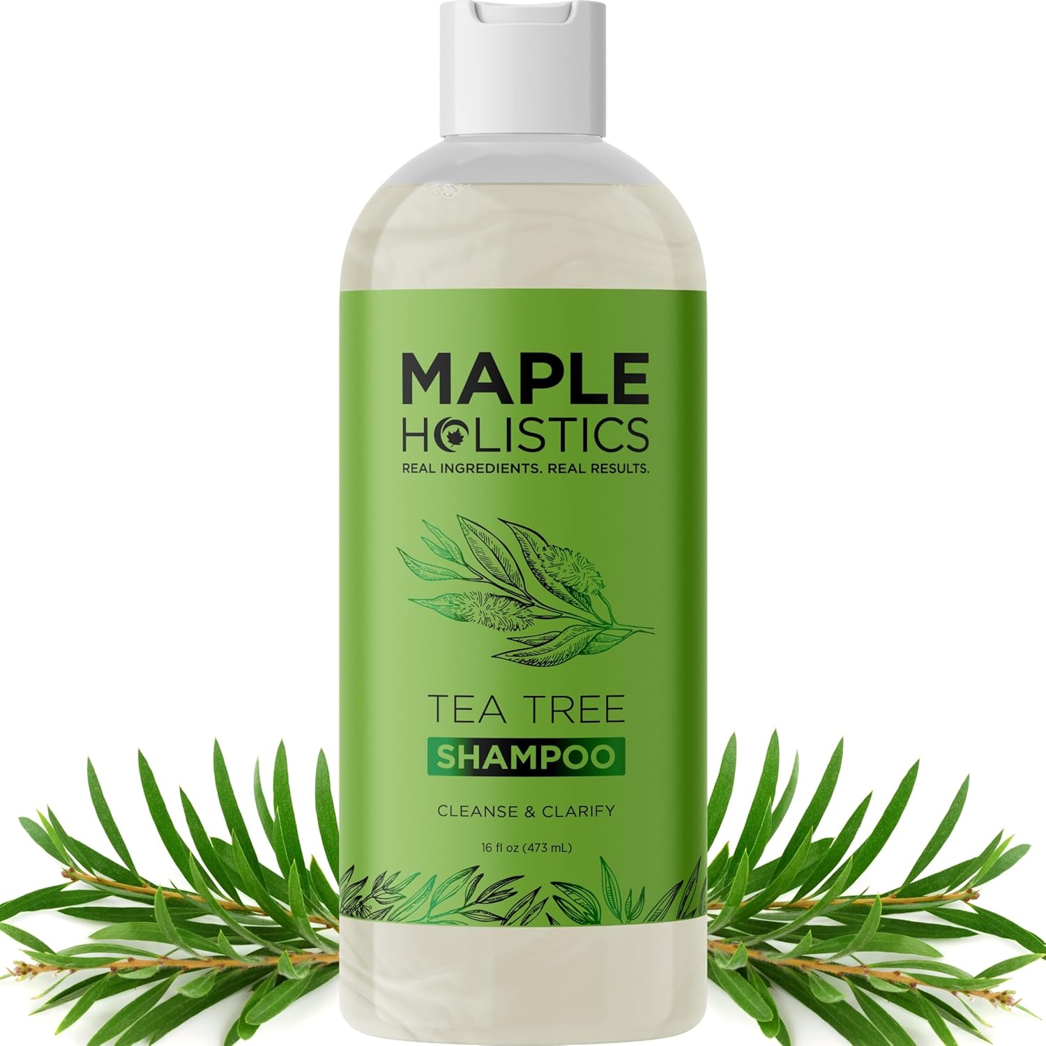 Maple Holistics Tea Tree Oil Shampoo - Natural Anti-Dandruff & Anti-Fungal Shampoo for Dry, Itchy & Flaky Scalp - Prevents Head Lice & Thinning Hair (16 Fl Oz) image number 3