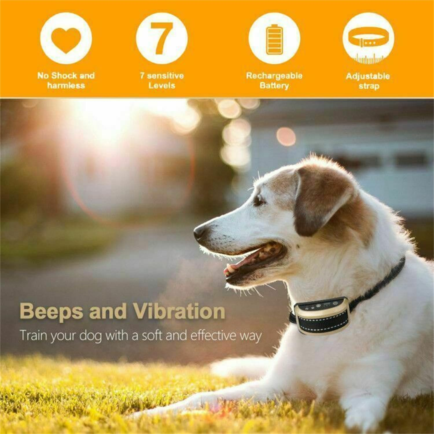 Leona Co Shock Collar, Bark and Training Collar Combo, Rechargeable Automatic No-Shock anti Bark Collar, Auto Stop Barking Trainer (Black Bone) image number 5