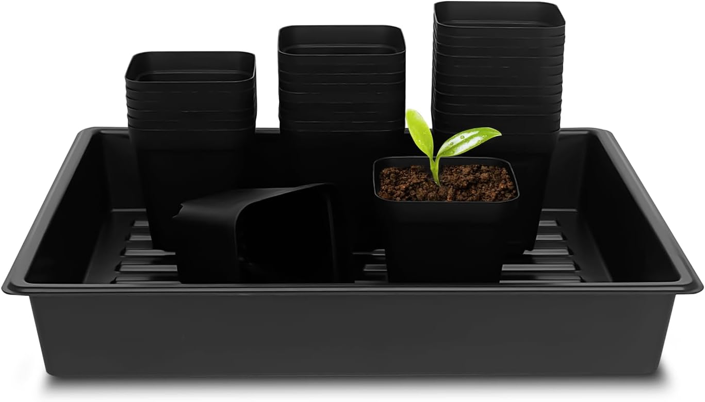 3.15 Inch (8CM) Square Nursery Pots 100 Pcs, Sturdy Seedlings Trays 5 Pcs, Seeds Starter Germination Tray, Microgreening Planter Nursery Propagation 5 Sets