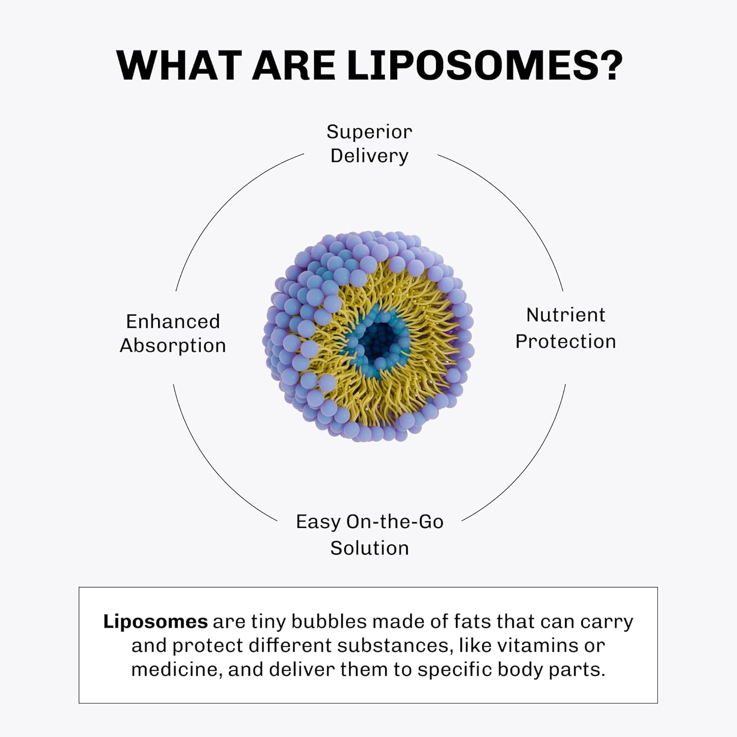 Vida Lifescience - Aurora Nutrascience Mega-Liposomal Glutathione + Vitamin C Organic Fruit Flavor - 16 Fl. Oz. image number 2