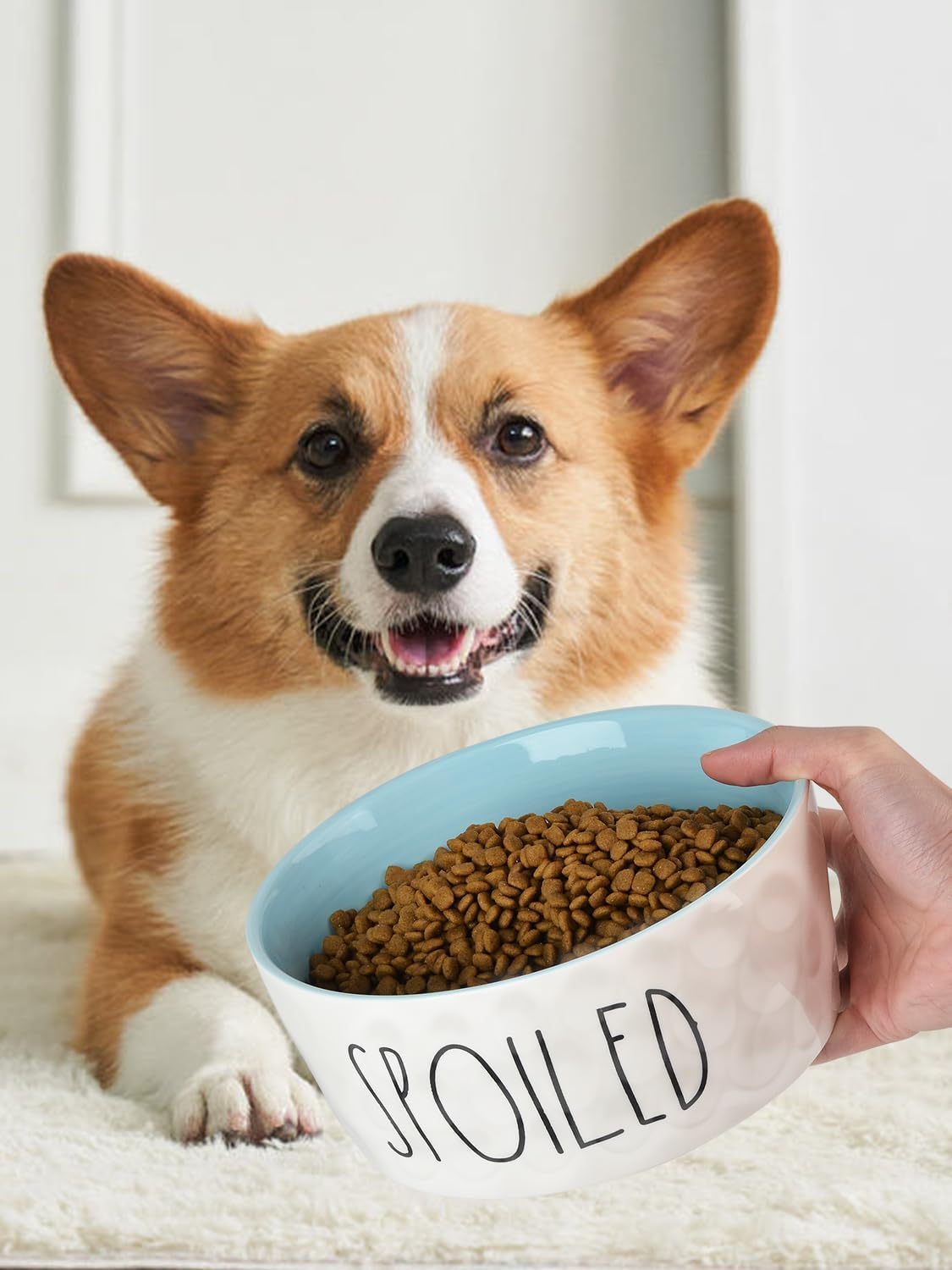 27OZ Ceramic Dog Bowl - 6'' Extra Large Food Water Dog Bowl, Heavy Duty Non-Slip Dog Dish for Medium Dogs, Food Grade Porcelain Pet Feeder Bowl, Microwave & Dishwasher Safe, Blue