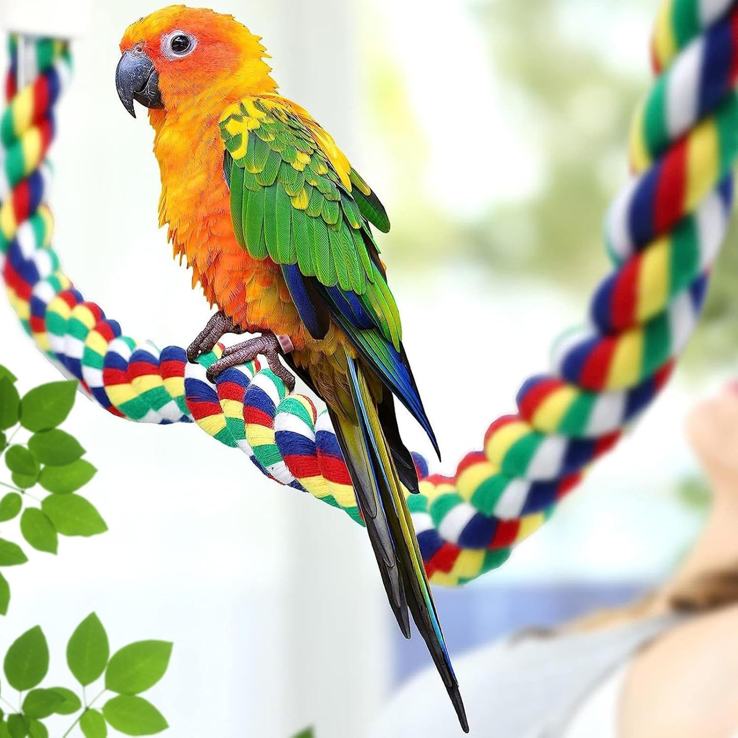 Rope Perch Birds Parrot Rope for Budgies / Parrot Climbing Rope Bird Cage Accessories (50 Cm Metal Nut) image number 5