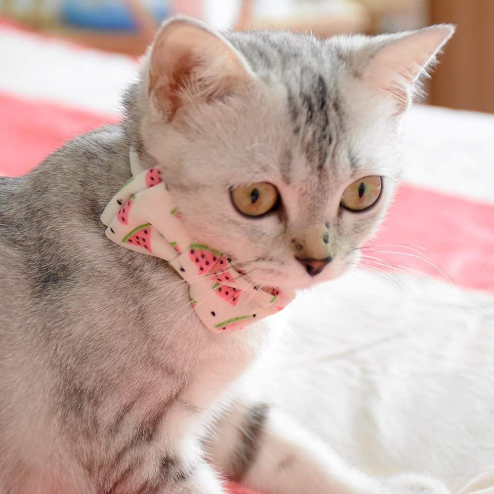 Xpangle Bowtie Cat Collars Breakaway with Bell, Adjustable Cute Kitty Collars Safety Buckle Kitten Collar for Cat Puppy 7.5-11In