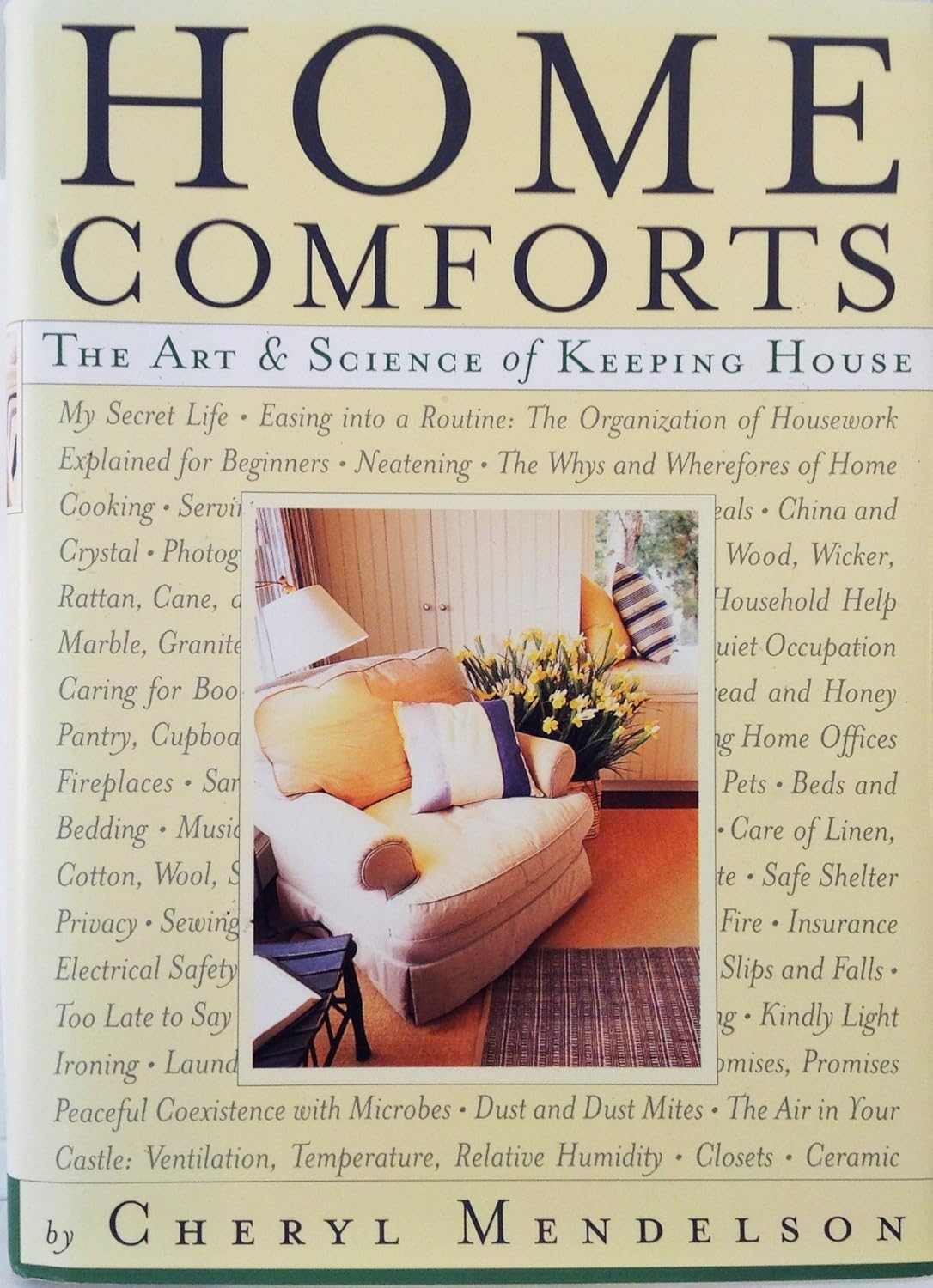Home Comforts: the Art and Science of Keeping House image number 1