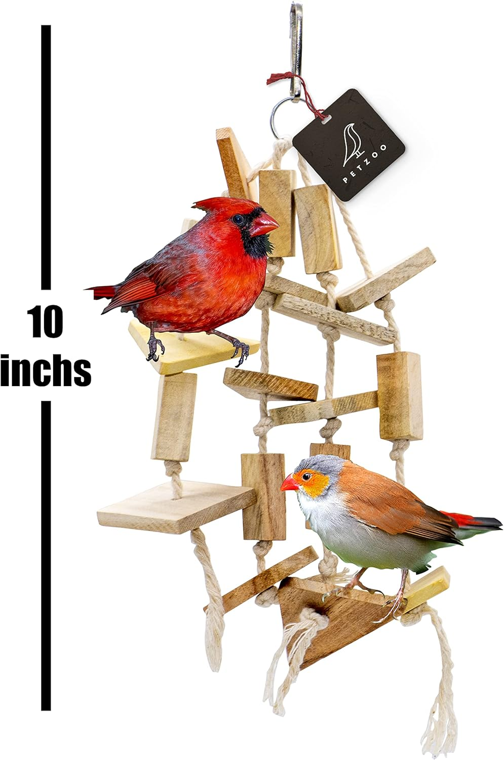 PETZOO Creative Chewable Hanging Toy for Big Birds, Macaw, African Grey, Parrot, Alexandrine, Budgies, Hamster Cage Accessories, Resting Toy & Wooden Training Aid for Bird & Parrots image number 2