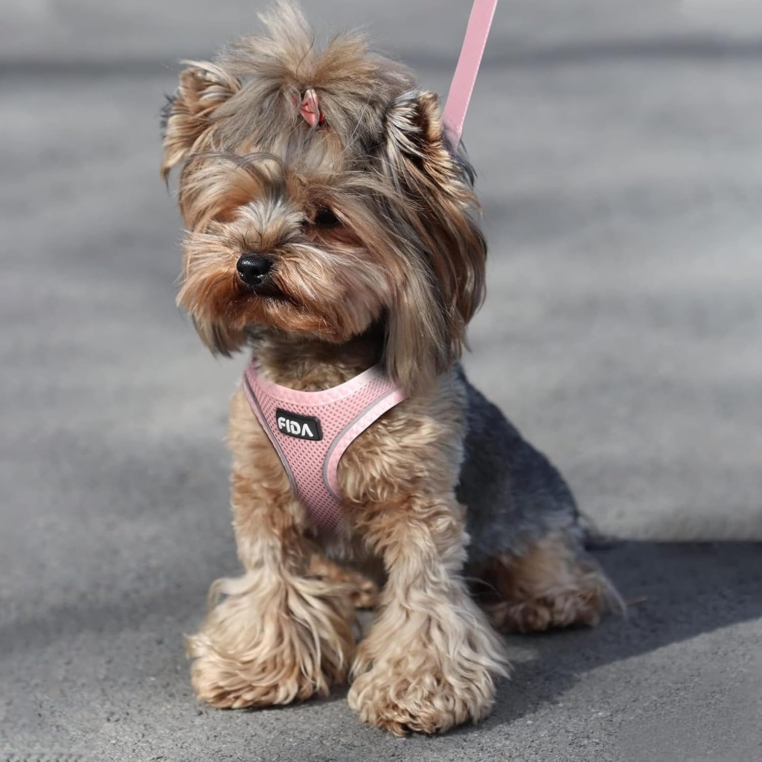 Fida Cat Harness and Leash Set for Walking Kitten and Puppy, Escape Proof Kitten Harness with Breathable Lightweight Soft Mesh, Adjustable Reflective Step-In Design. (XXXS, Pink)