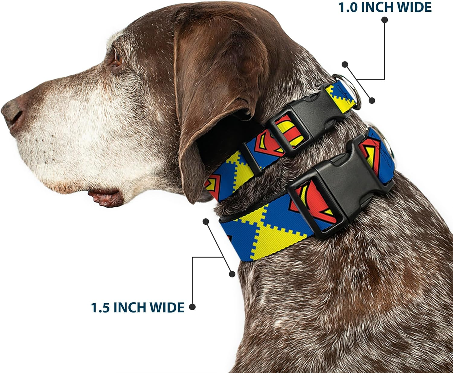 Buckle-Down Plastic Clip Dog Collar, Jagged Superman Shield Close-Up Yellow/Blue/Red, 6 to 9 Neck Size X 0.5 Inch Width image number 2