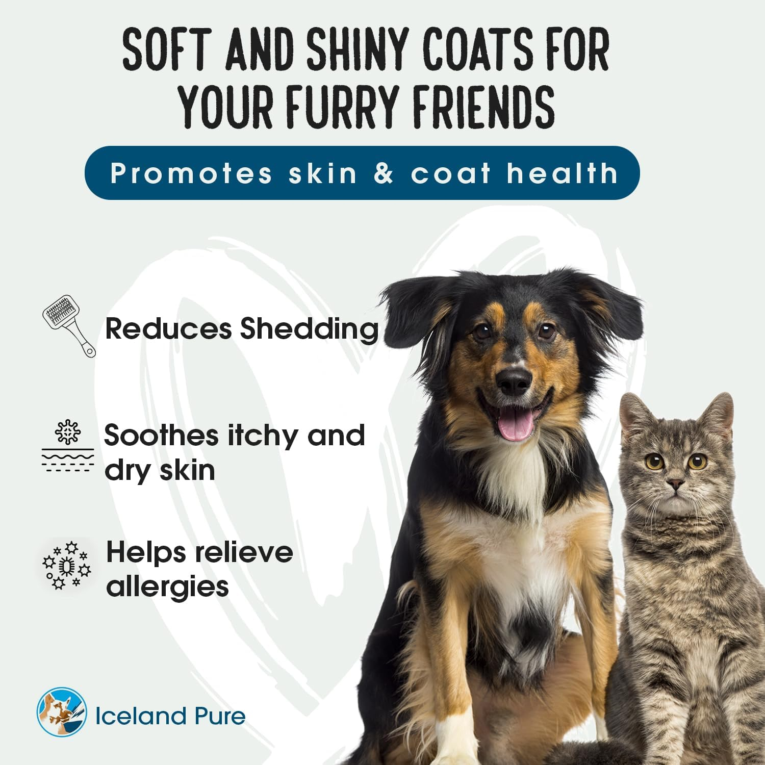 Sardine Anchovy Oil | 1296Mg Omega | Unscented Pharmaceutical Grade | for Dogs & Cats | Bpa-Free Brushed Aluminum Epoxy Coated Bottle with Pump 8.75Oz image number 2