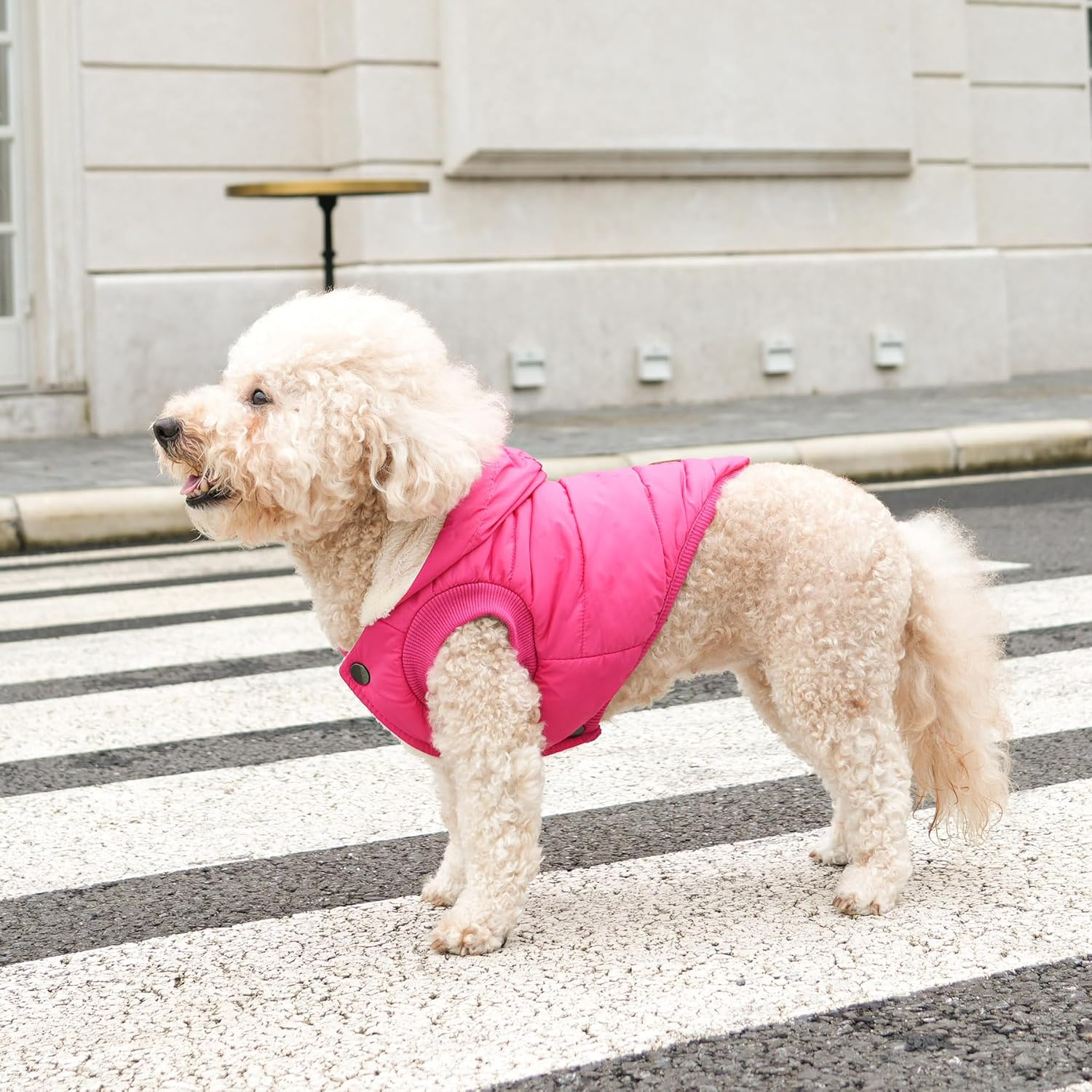 Vecomfy Fleece and Cotton Lining Extra Warm Dog Hoodie in Winter,Small Dog Jacket Puppy Coats with Hooded Pink S image number 1
