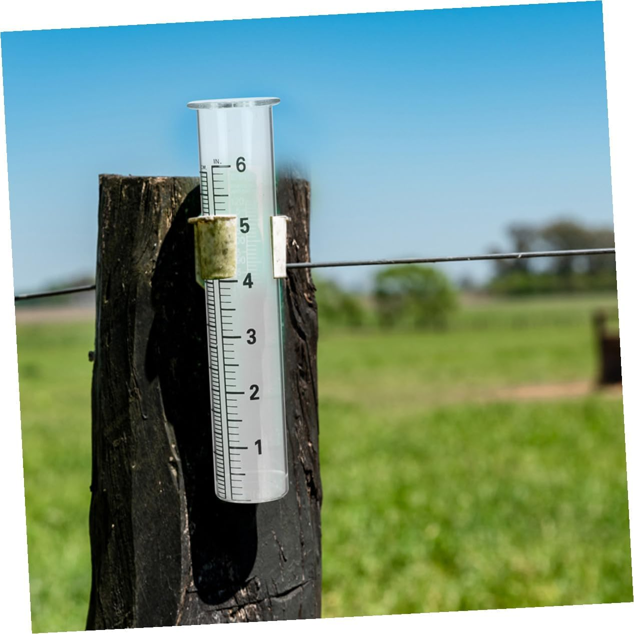 NOLITOY 4Pcs Glass Rain Gauge Tubes Replacement with Accurate Measuring Cylinders for Garden Lawn Outdoor Rainfall Measurement Tool image number 4