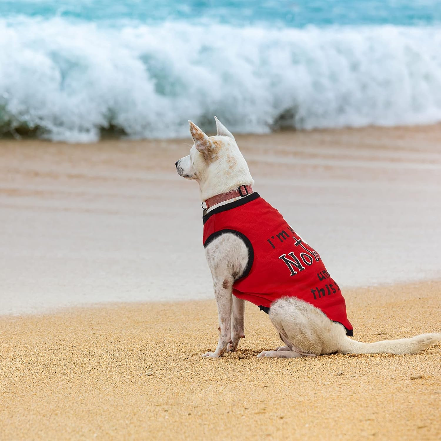 8 Pieces Dog Shirts Pet Printed Clothes with Funny Letters Summer Pet T Shirts Cool Puppy Shirts Breathable Dog Outfit Soft Dog Sweatshirt for Pet Dogs Cats (Classic Pattern,Small) image number 1