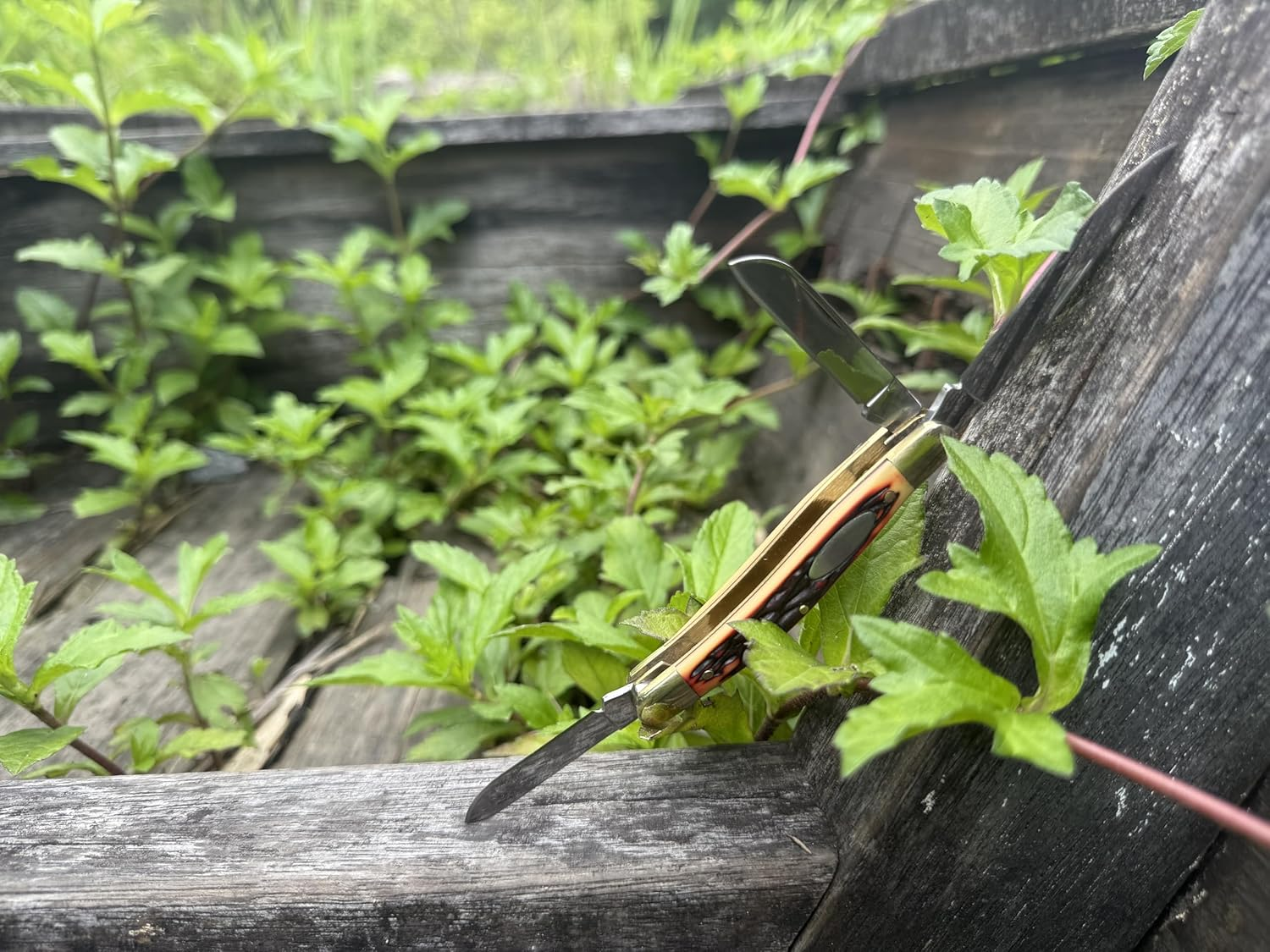 Dxzephious 440 Stainless Steel Folding Pocket Knife Outdoors Manual Knife,8.9Cm Overall,6Cm Stainless Steel Blades,Hunting,Camping image number 4