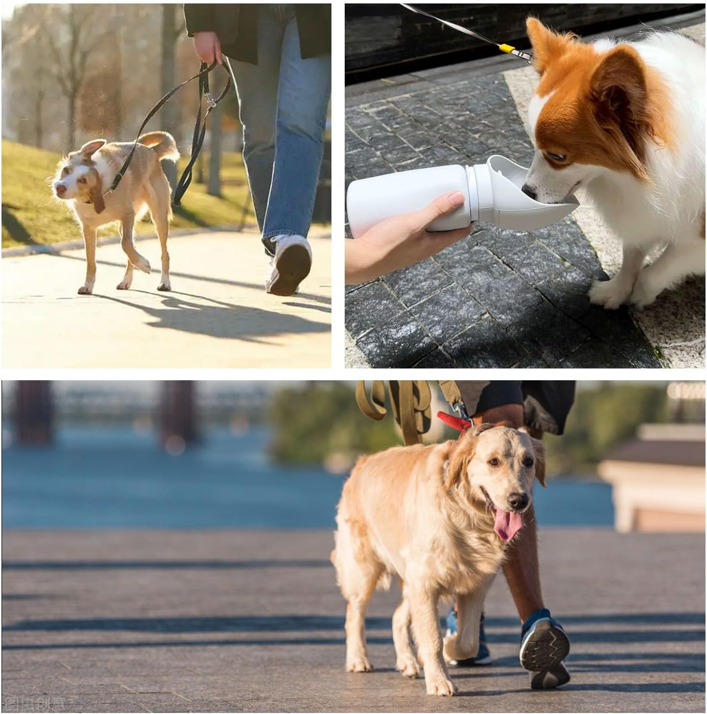 Shengsenfu 18.6 Oz Pet Cat Dog Water Bottle Portable Soft Silicone Leak Proof Foldable, Easy to Clean Dog Drinking Dispenser, Walking Hiking Camping Beach, Travel with Lead Leash Accessory, Dogs Cats image number 4