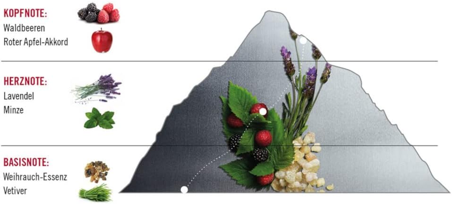 Swiss Army Classic Red by Swiss Army for Men - 3.4 Oz EDT Spray image number 1