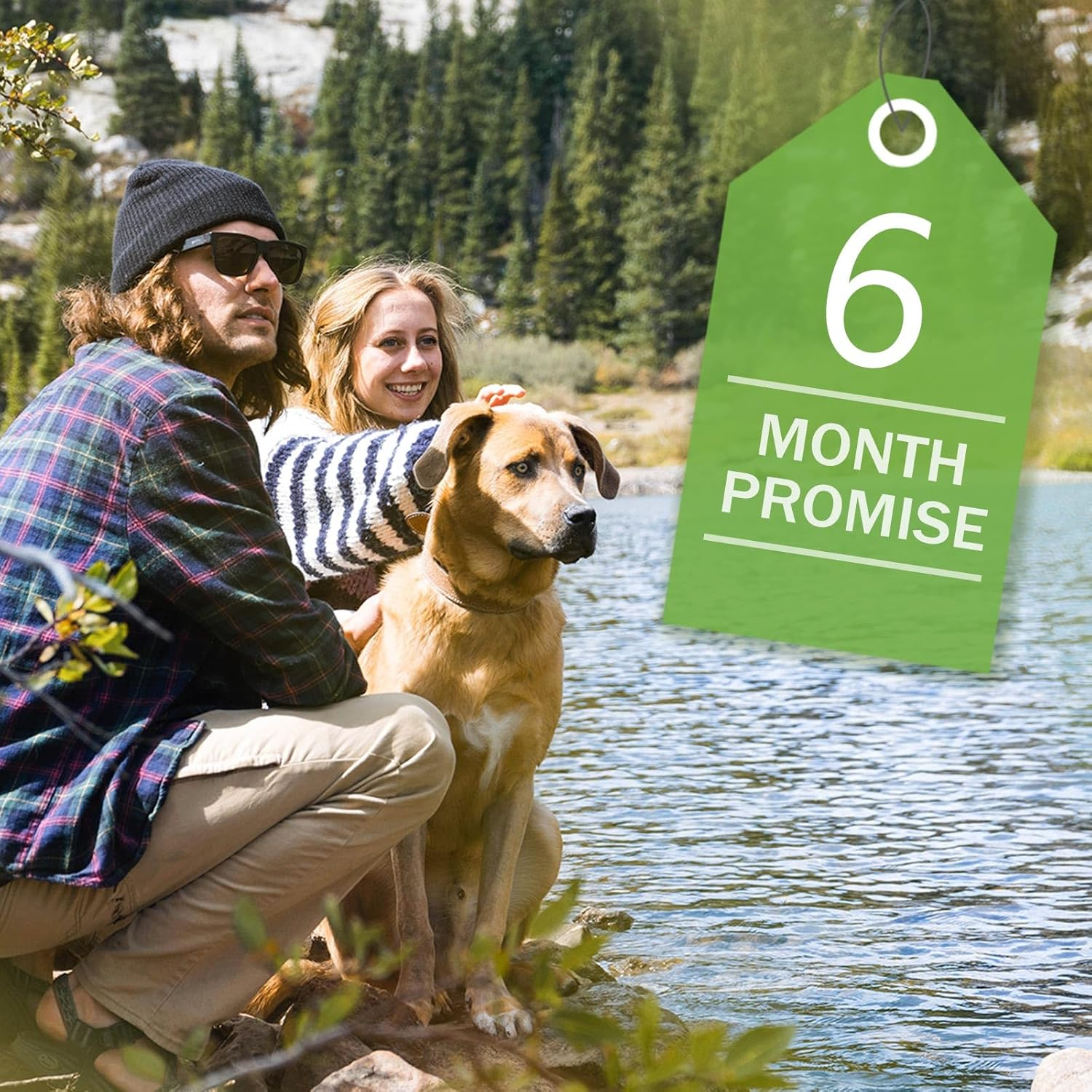 Merino Protect Thin Merino Wool Crew Sock for Men Women Lightweight Hiking Socks Soft Mid Calf Dress Socks 4 Pack