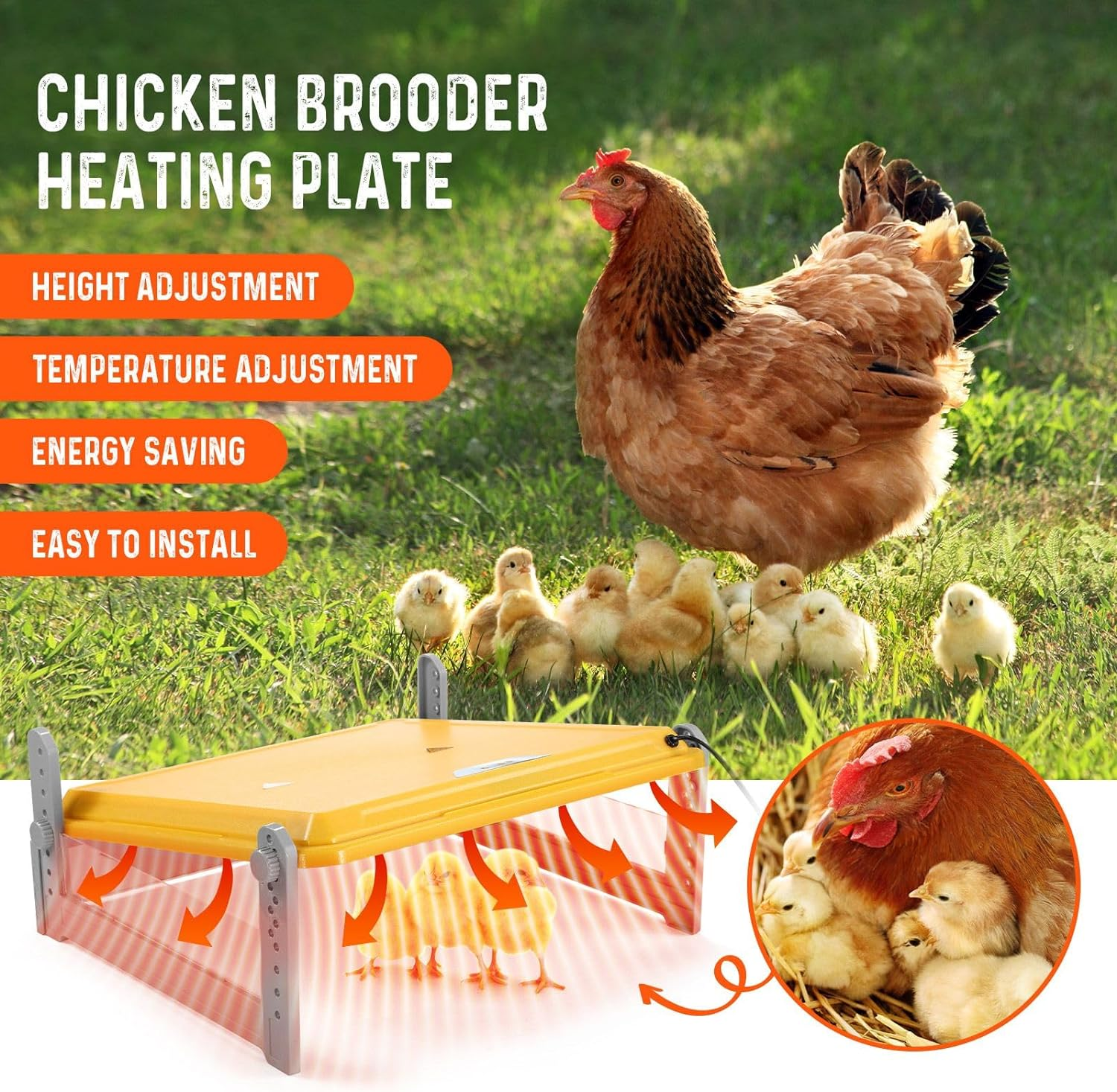 Pet Scene Brooder Heater for Chicks Heating Plate Chook Heater Coop Adjustable Poultry Duck Quail Brooding Warmer for 40&ndash;50 Chicks image number 6
