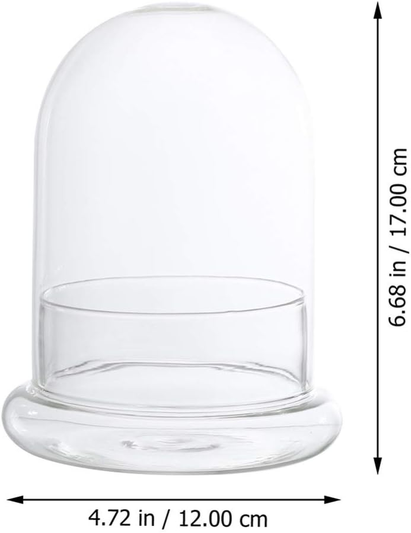 Cabilock 2Pcs Glass Cloche Bell Jar with round Base Glass Cloche Dome Jar Terrarium Glass Dome Bottle Miniature Floral Decoration image number 2