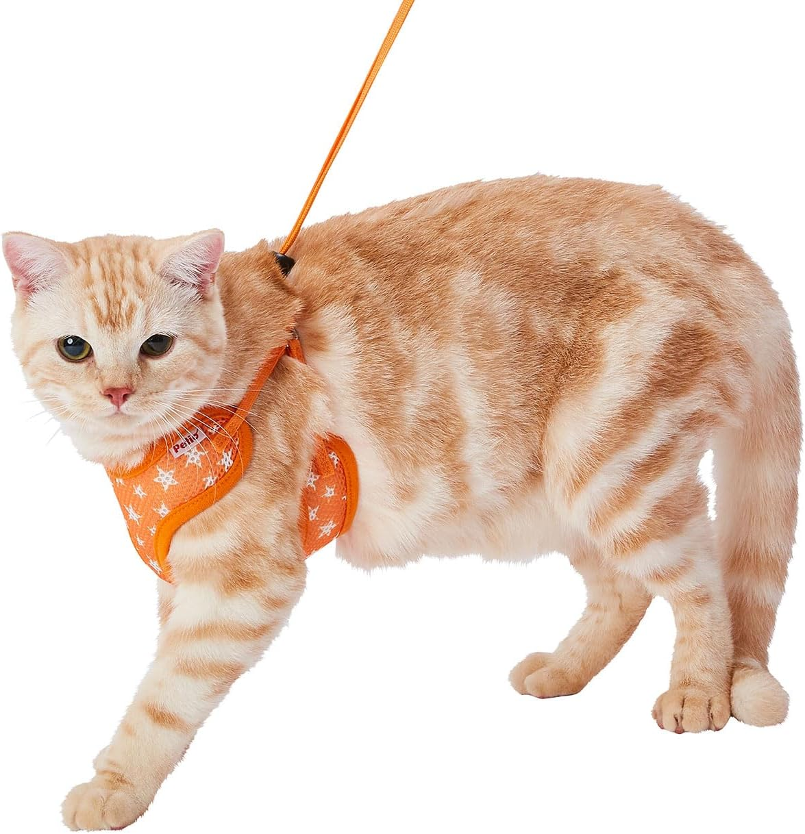 Petio Easy Cat Harness Orange