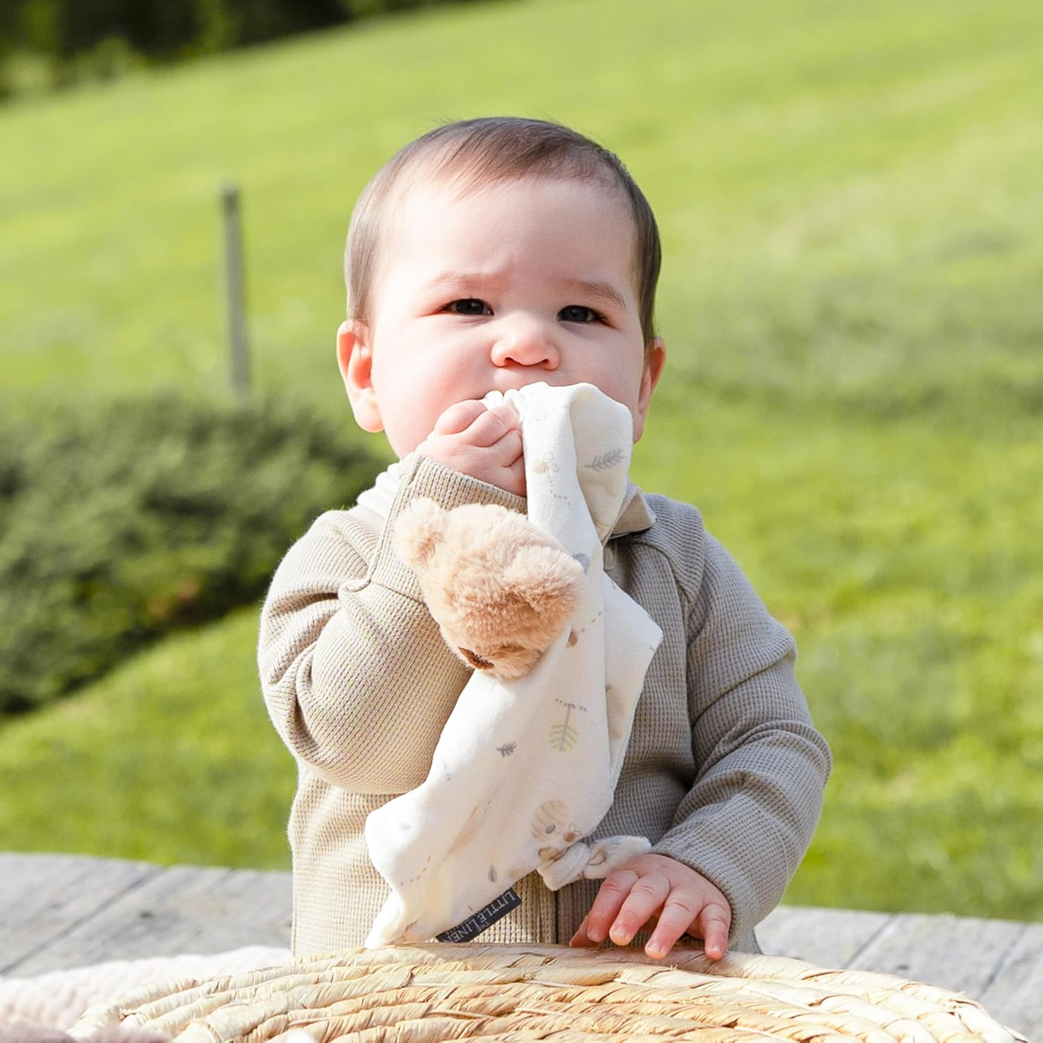 The Little Linen Company Lovie Comforter Security Blanket Baby Infant - Nectar Bear image number 1