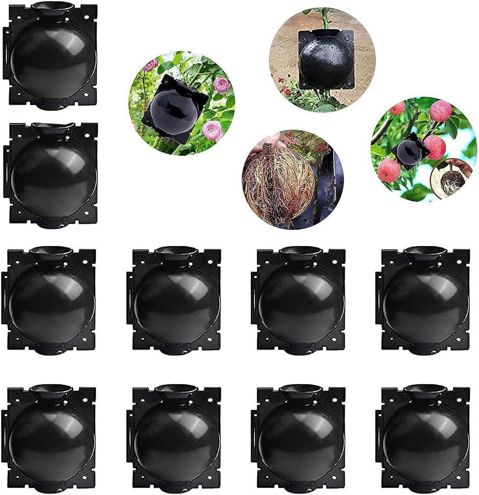 Plant Root Growing Box - 10Pcs Assisted Rooting Device, Reusable High Pressure Propagation Balls for Plants, Grafting Box, Medium image number 5