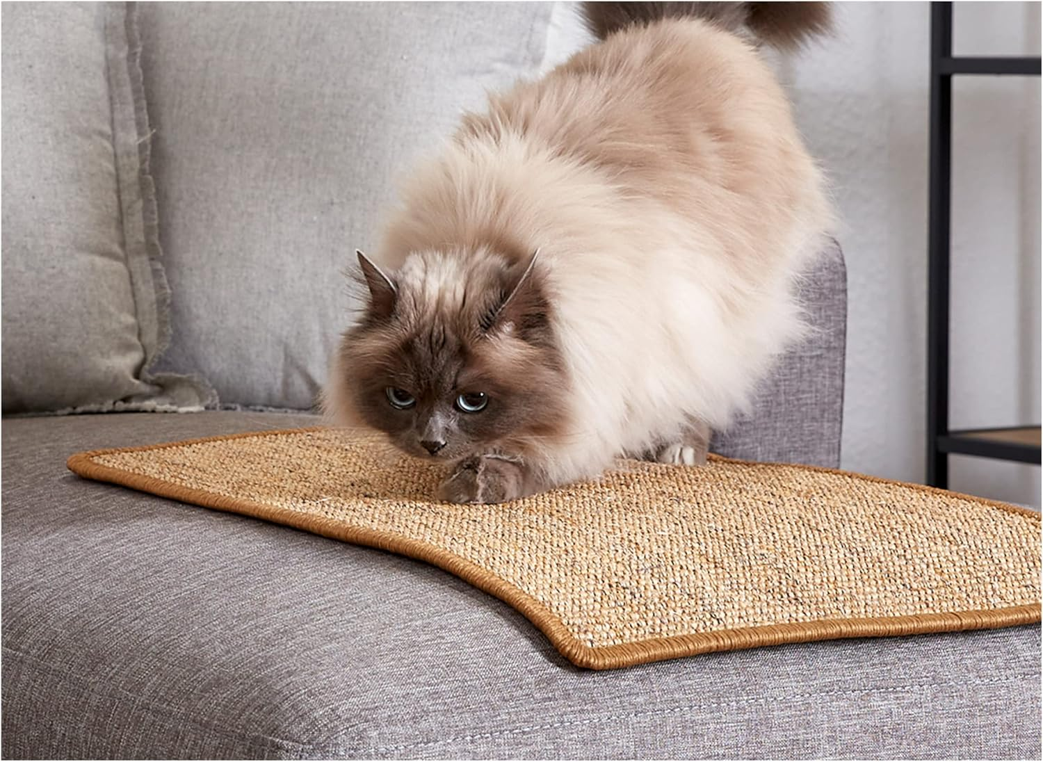 Scratching Mat for Cats - Doormat Sisal Scratching Mat - Natural Sisal Mat Robust - Mat Made of 100% Sisal - Cat Scratching Mat Anthracite 30 X 40 Cm