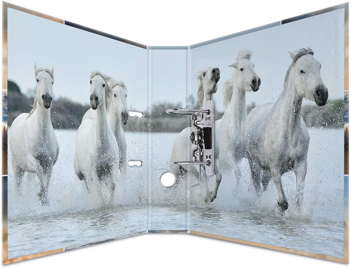 HERMA 7164 Folder A4 Animals Horses, 7 Cm Wide, Cardboard Folder with Inner Print for School and Office, Sturdy Children'S Ring Binder Made of Cardboard for Boys and Girls - Dogs image number 3
