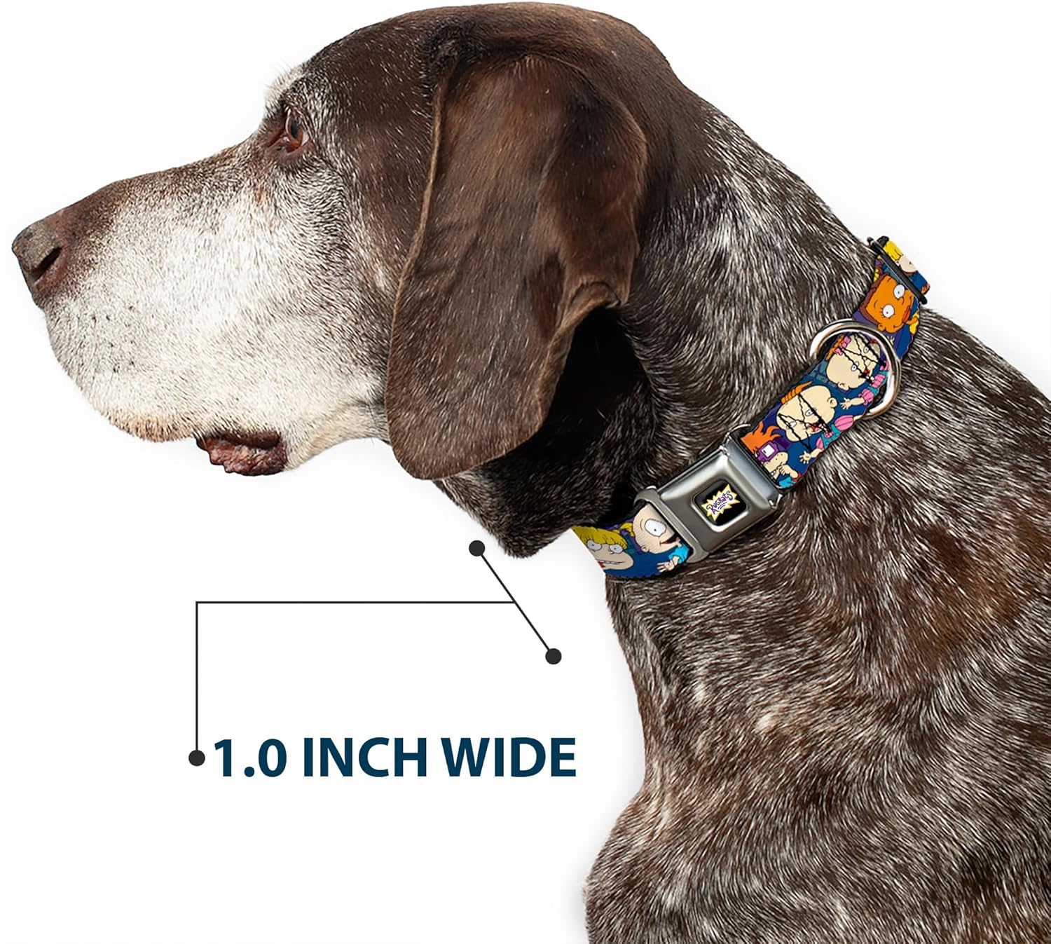 Dog Collar Seatbelt Buckle Rugrats Group Pose 9 to 15 Inches 1.0 Inch Wide image number 2