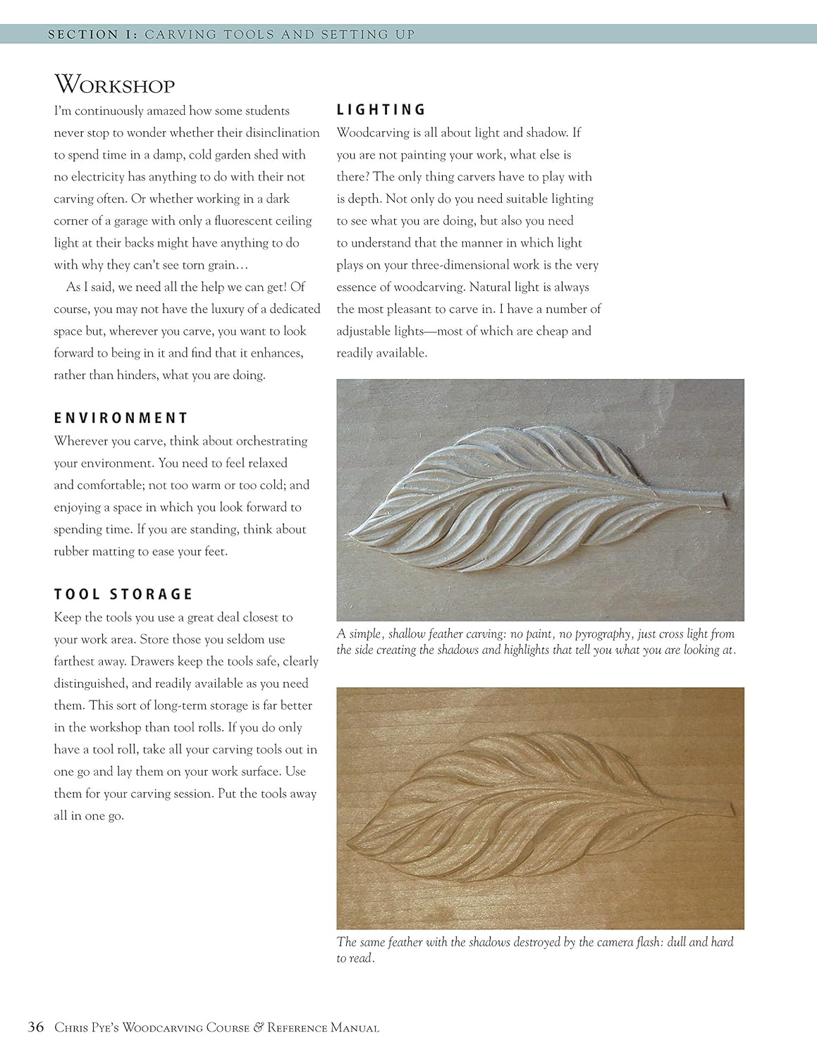 Chris Pye'S Woodcarving Course & Reference Manual: a Beginner'S Guide to Traditional Techniques image number 1