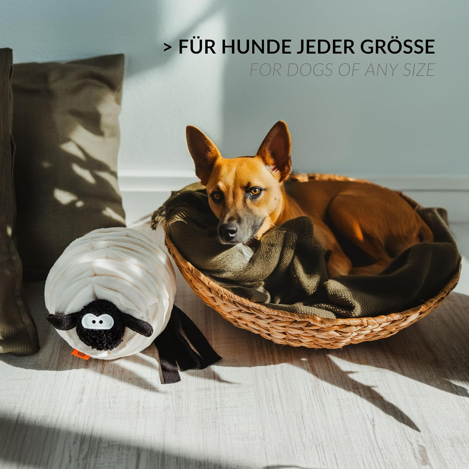 Sniffing Ball for Dogs | Dog Toy Lou the Sheep | Durable Intelligence Toy for Dogs | Sniffing Rug for Dogs in White | Dog Toys and Dog Toy Intelligence 26 X 20 Cm image number 4