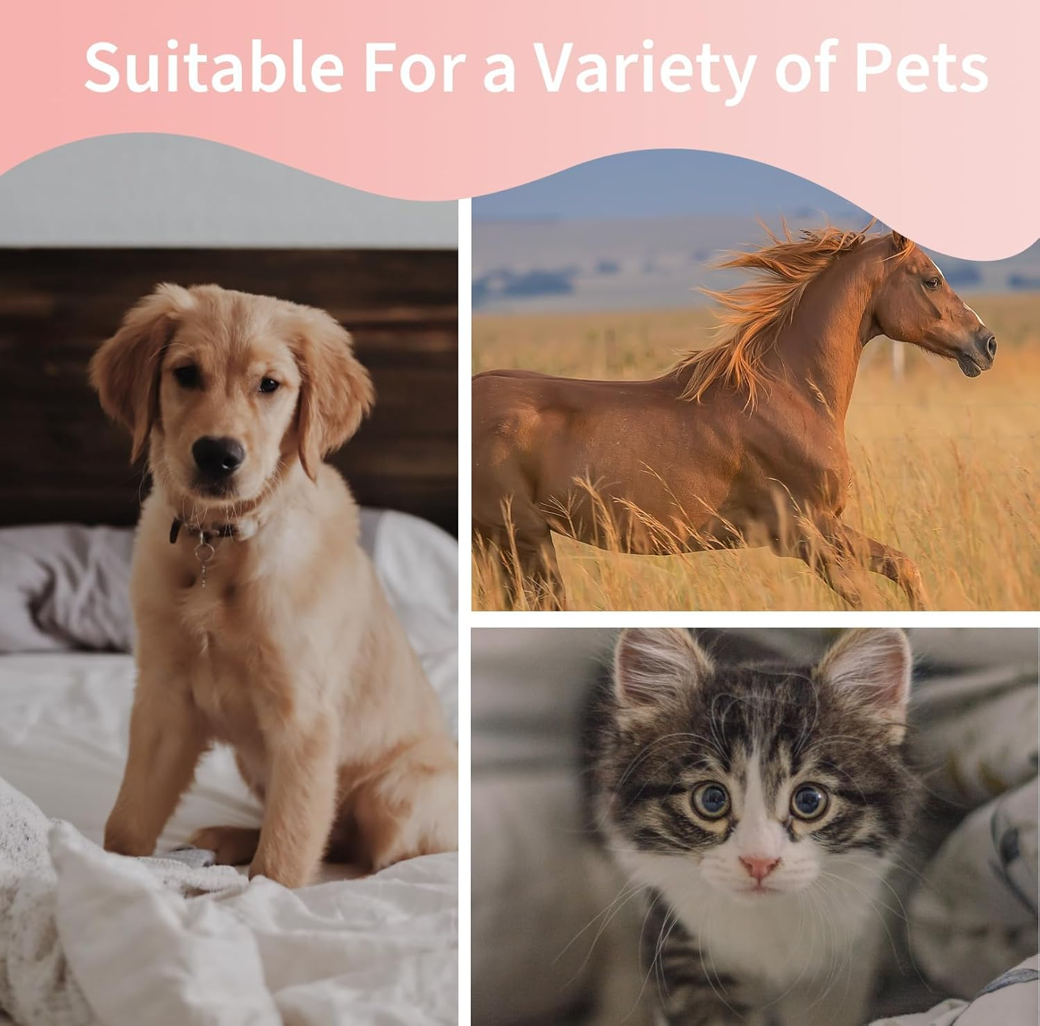 Groompro Deshedding Brush, Deshedding Brush for Cats, Dogs, Rabbits, Horses, Ergonomic Dog Groomer for Matted Hair, Loose Hair image number 2