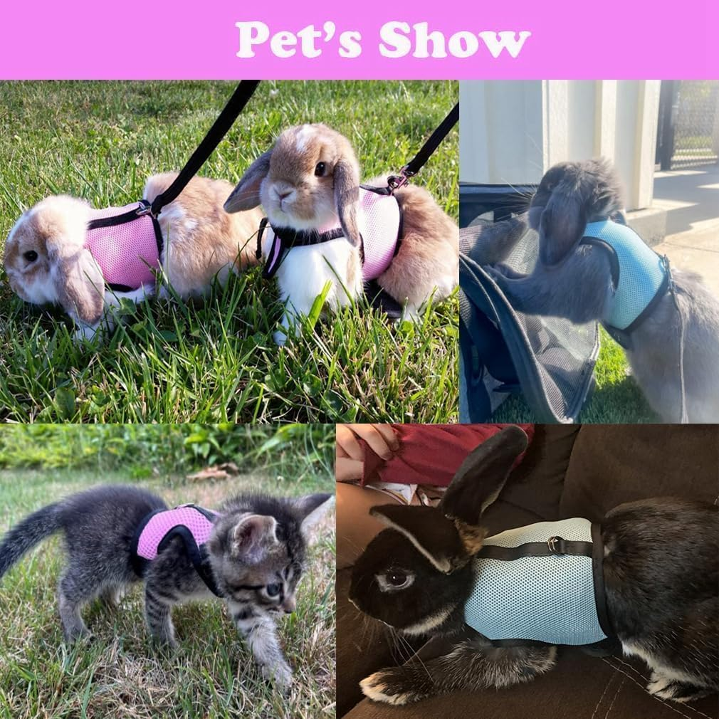 Rabbit Harness and Leash Set, Bunny Vest Leash Proof Mesh Walking Training for Small Animal Pets Rat Hamster Squirrel Ferret Guinea Pig Bunny (Black, M)