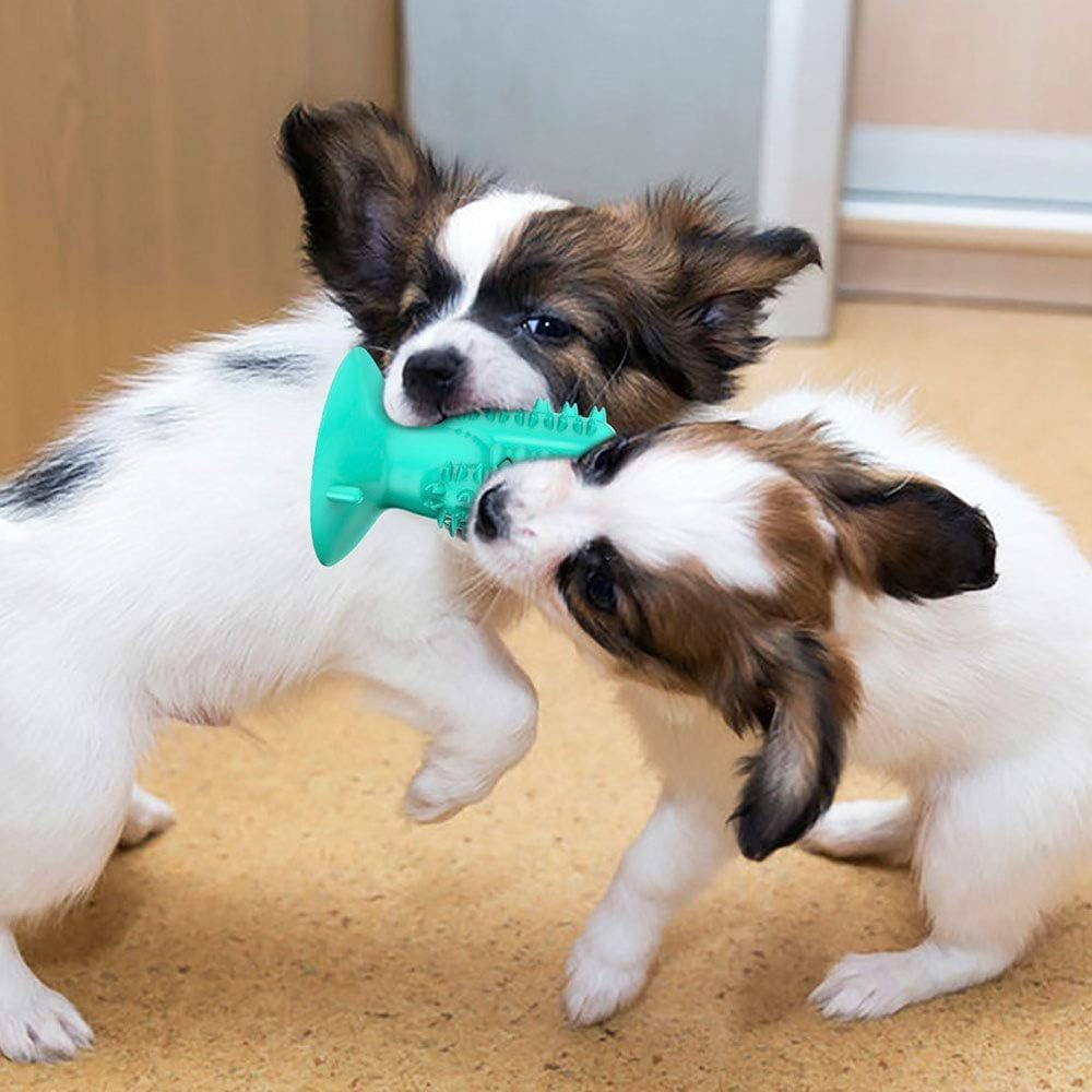 Dog Toothbrush Chew Toys Dog Teeth Cleaning Stick,Puppy Brushing Dental Oral Care for Small Medium Large Dogs (Blue, One Size) image number 3