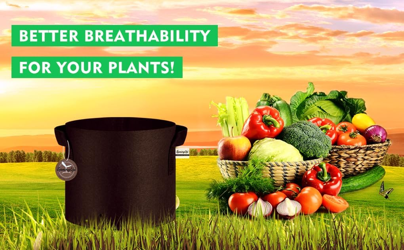 Springup 5 Pack Grow Bags, Heavy Duty Thickened Non-Woven Plant Bag Plant Fabric Pots Planting Bags for Plants Vegetable, Herbs and Flowers, Black(1 Gallon) image number 4