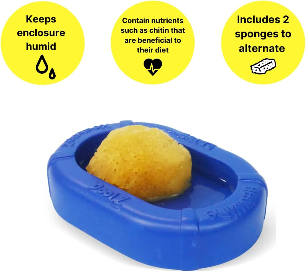 Sea Sponge image number 3