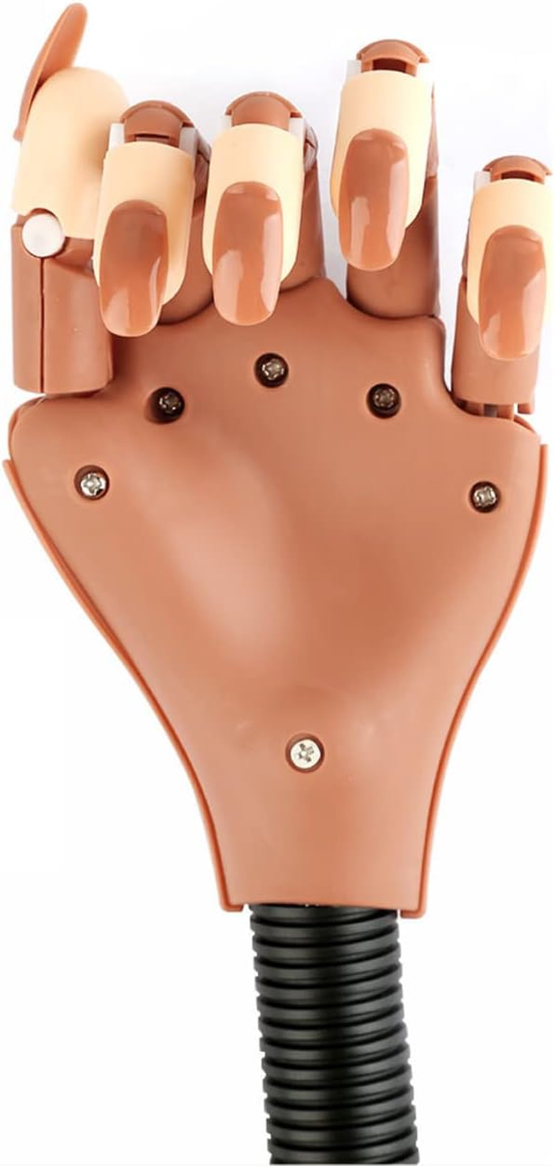 Nail Design Practice Hands, Finger Training, with 400 Fake Nails image number 5