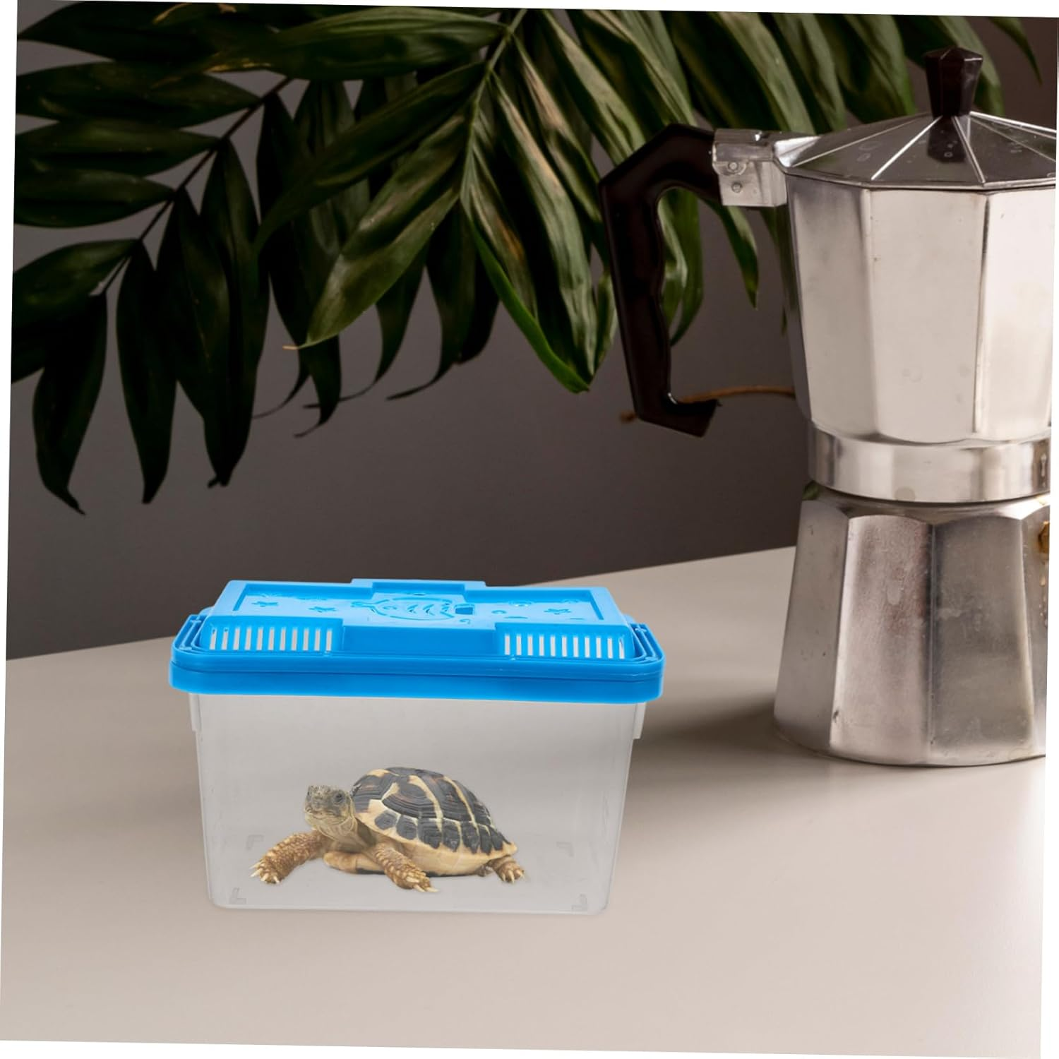 Levemolo Small Fish Tank Box Portable Design for Aquatic Pets Turtles Reptiles Home Decor image number 2