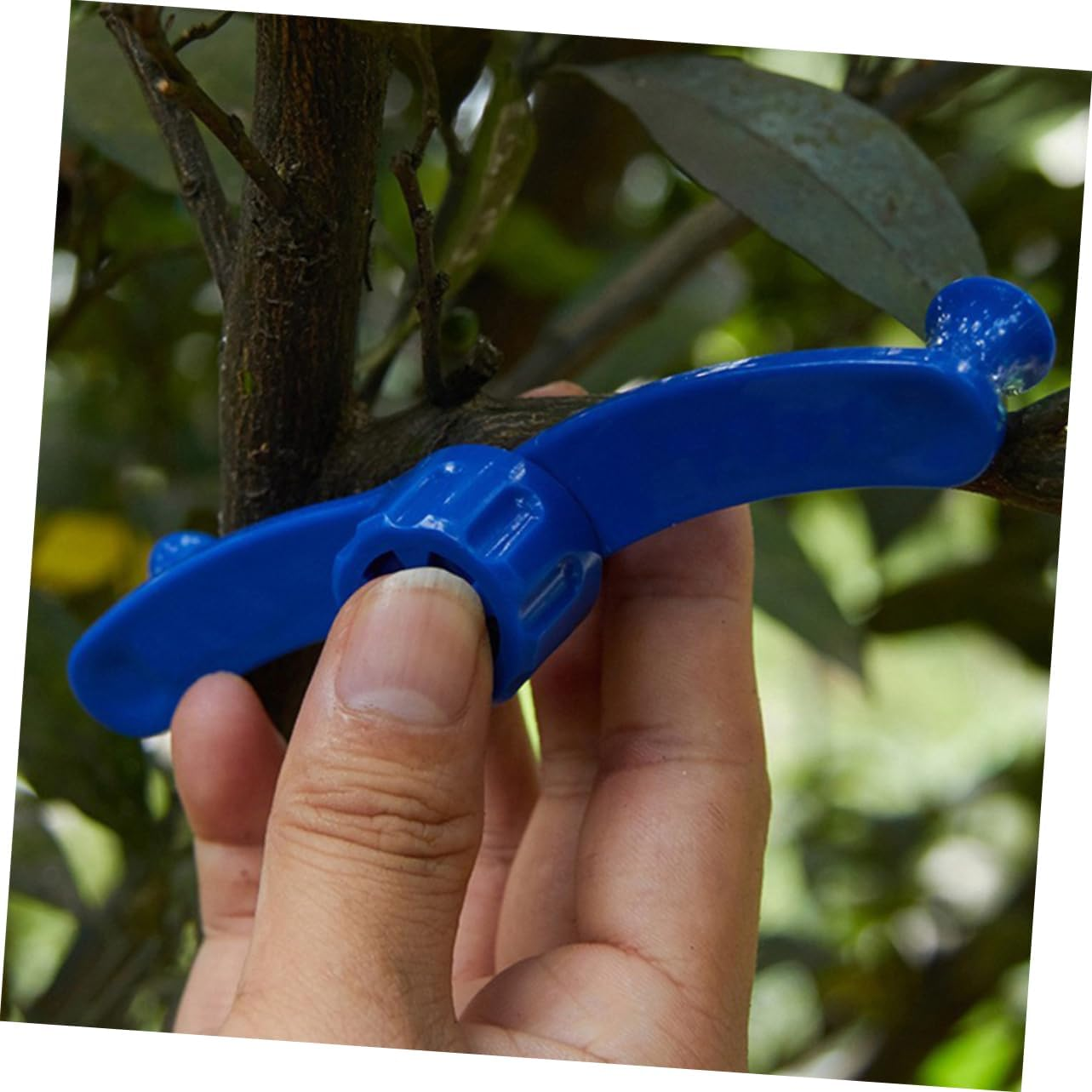 Parliky 6Pcs Fruit Tree Bender Clips Strong Plant Branches Clips for Gardening Tree Supports Reusable Plant Bending Clamp image number 2