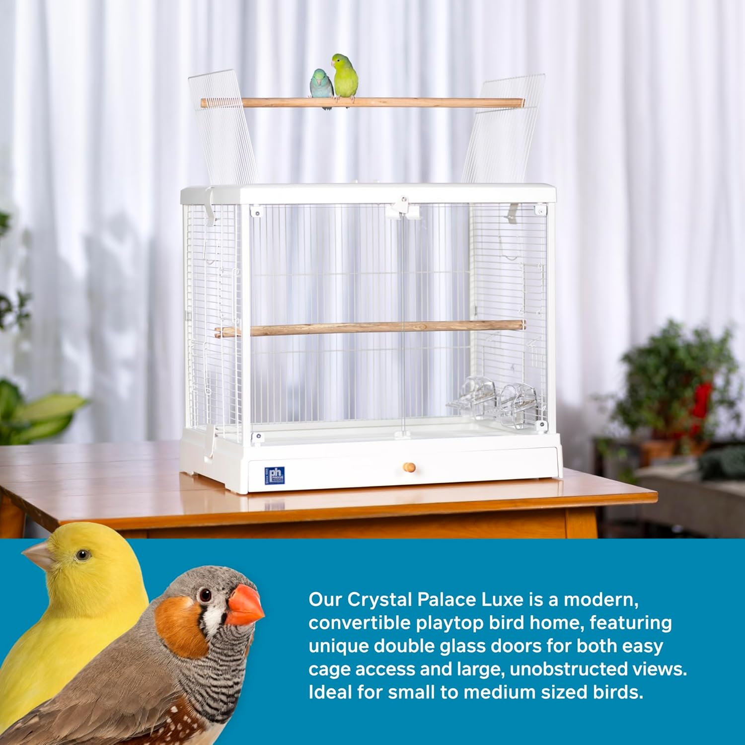 Prevue Pet Products Clear View Glass Bird Cage Crystal Palace Luxe for Small Birds - White Frame