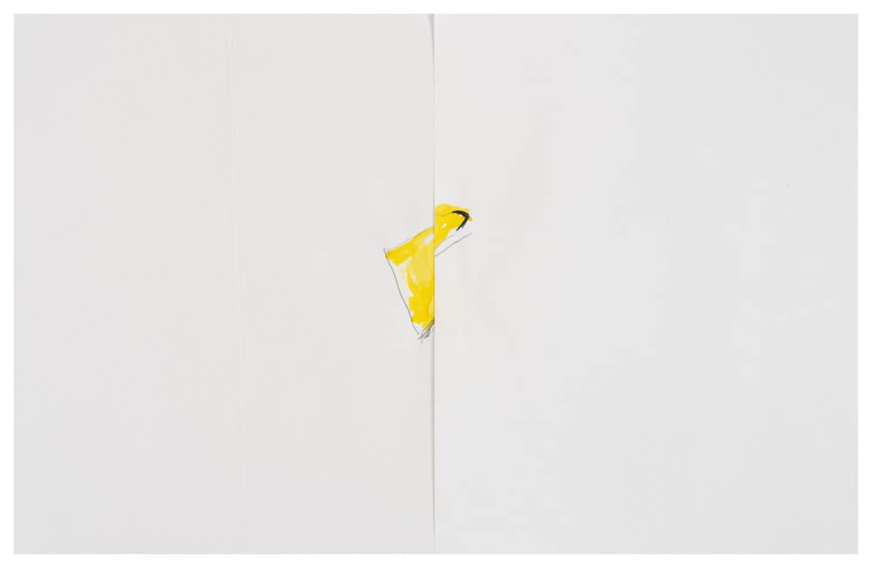 Calder/Tuttle: Tentative image number 4