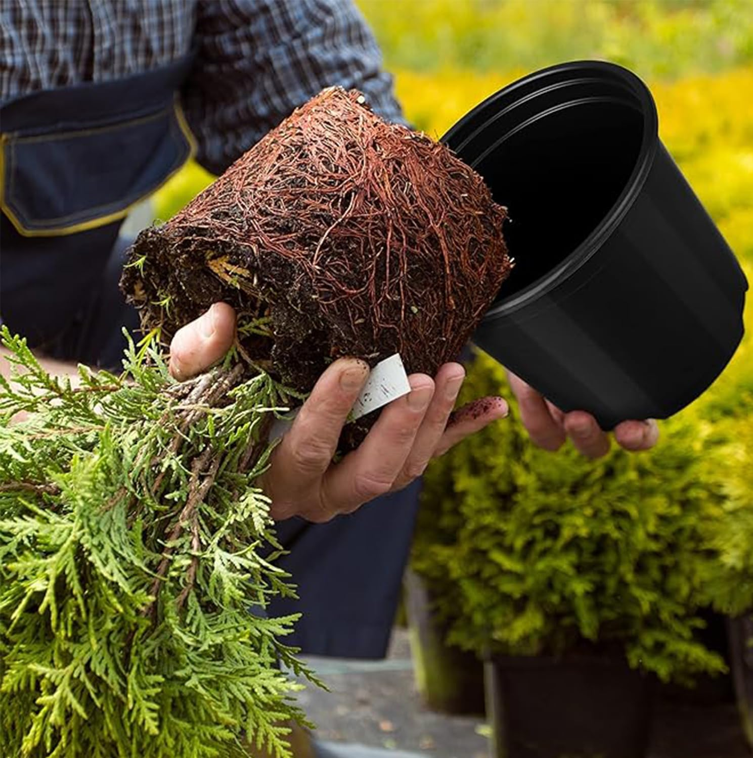 Plant Pots with Drainage Holes, Sturdy Plastic Large Nursery Pots, Succulents, Cuttings, Planting Pots with Plant Labels，And Gardening Gloves，13Cmx11.6Cm image number 4
