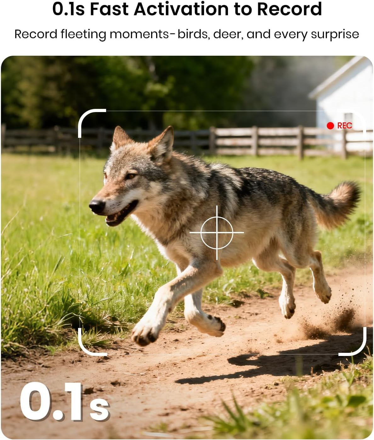 Misstech 4K UHD Solar Trail Camera &ndash; 0.1S Motion Trigger to Capture Fast Animals, Wildlife Monitoring & Game, 64MP/4K Clear Night Vision, No Monthly Fee, App Control, IP66, with 32GB SD Card