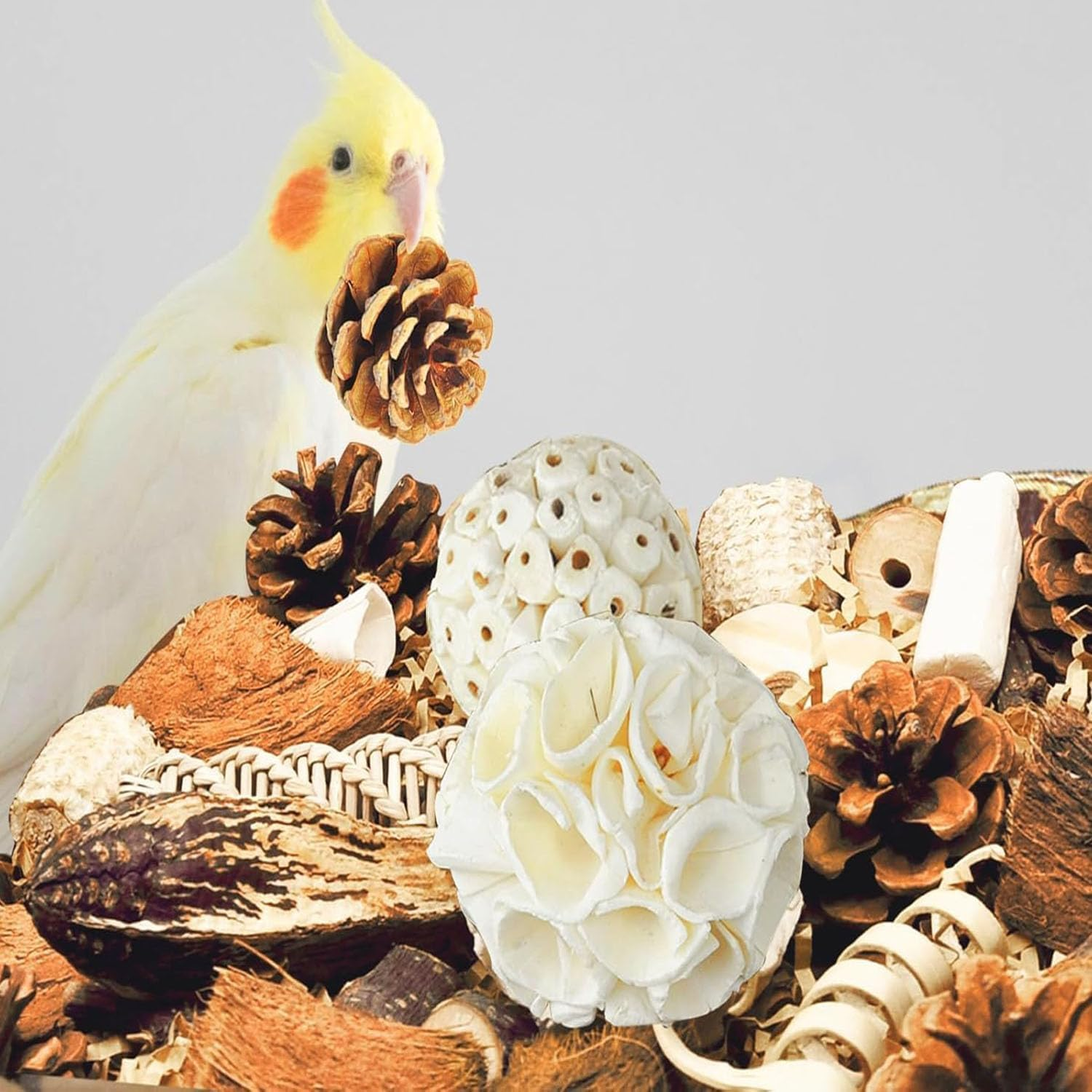 Limcryspp Natural Foraging and Biting Toy Box, an Interactive Biting Toy Suitable for Tiger Skin, Black Phoenix, Cone-Tailed, Peony Parrot and Small and Medium-Sized Birds image number 2