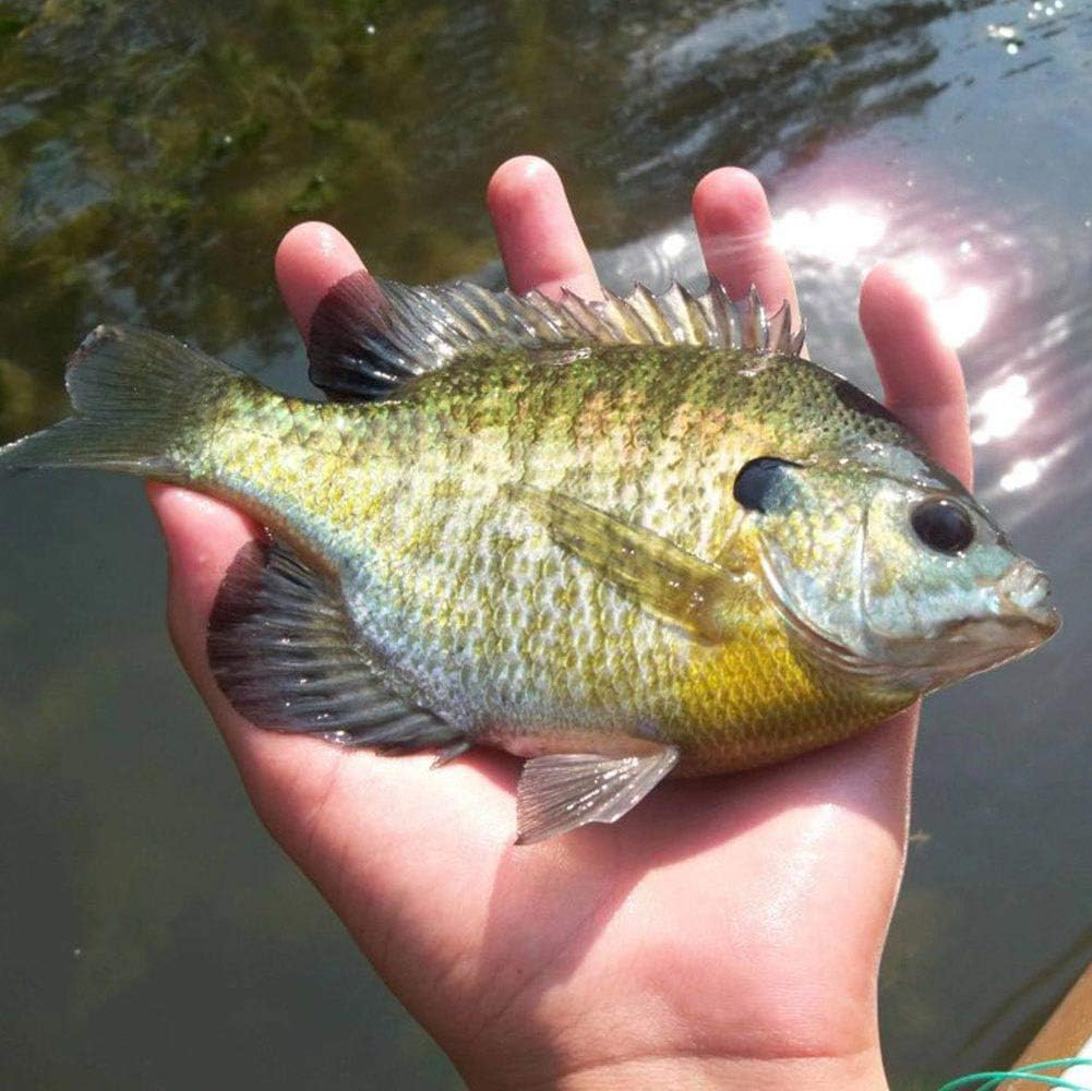 YZD Silverside Minnow Crappie Jig 12Pcs - B/G/M Mix image number 7