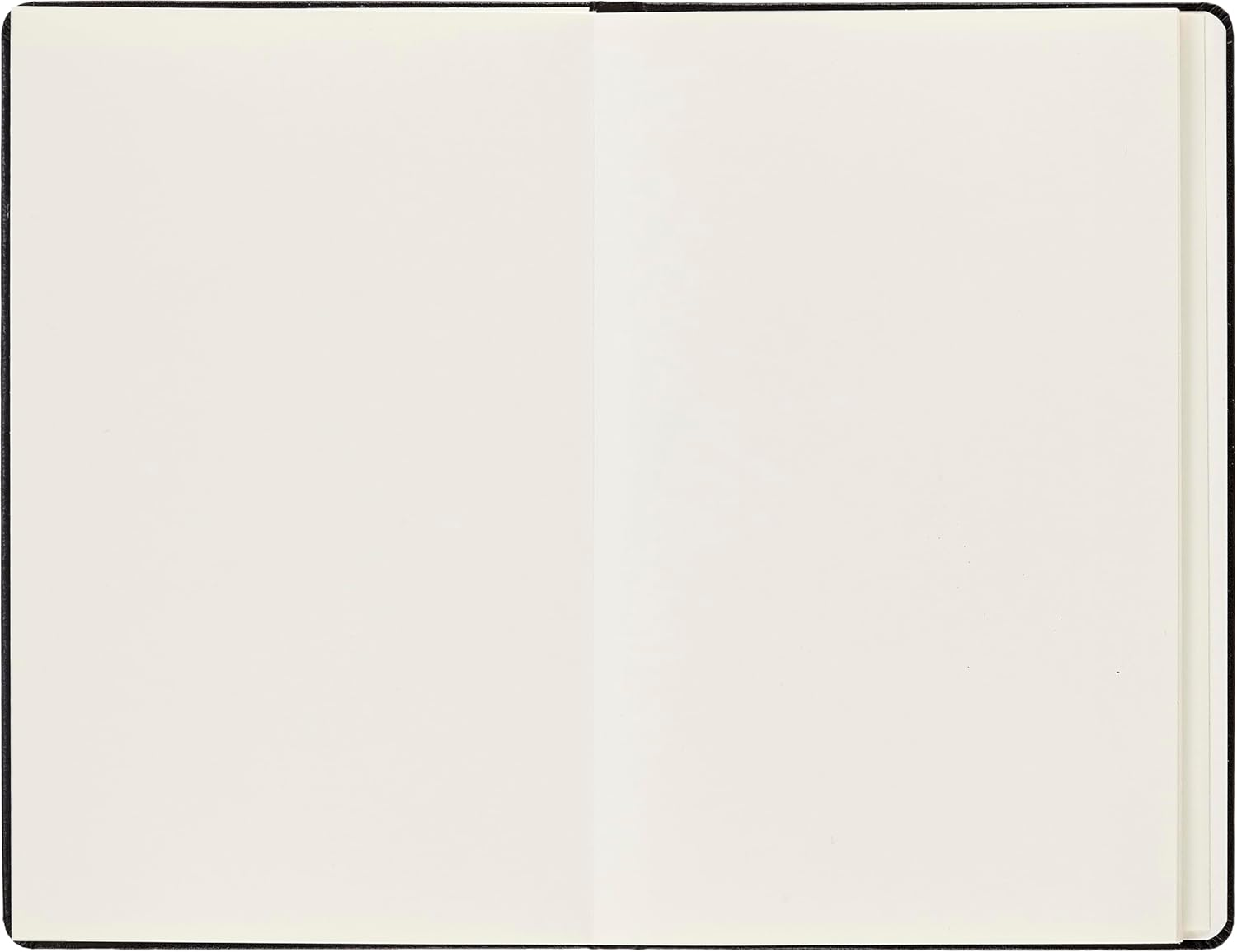 Moleskine Japanese Album, Large image number 5