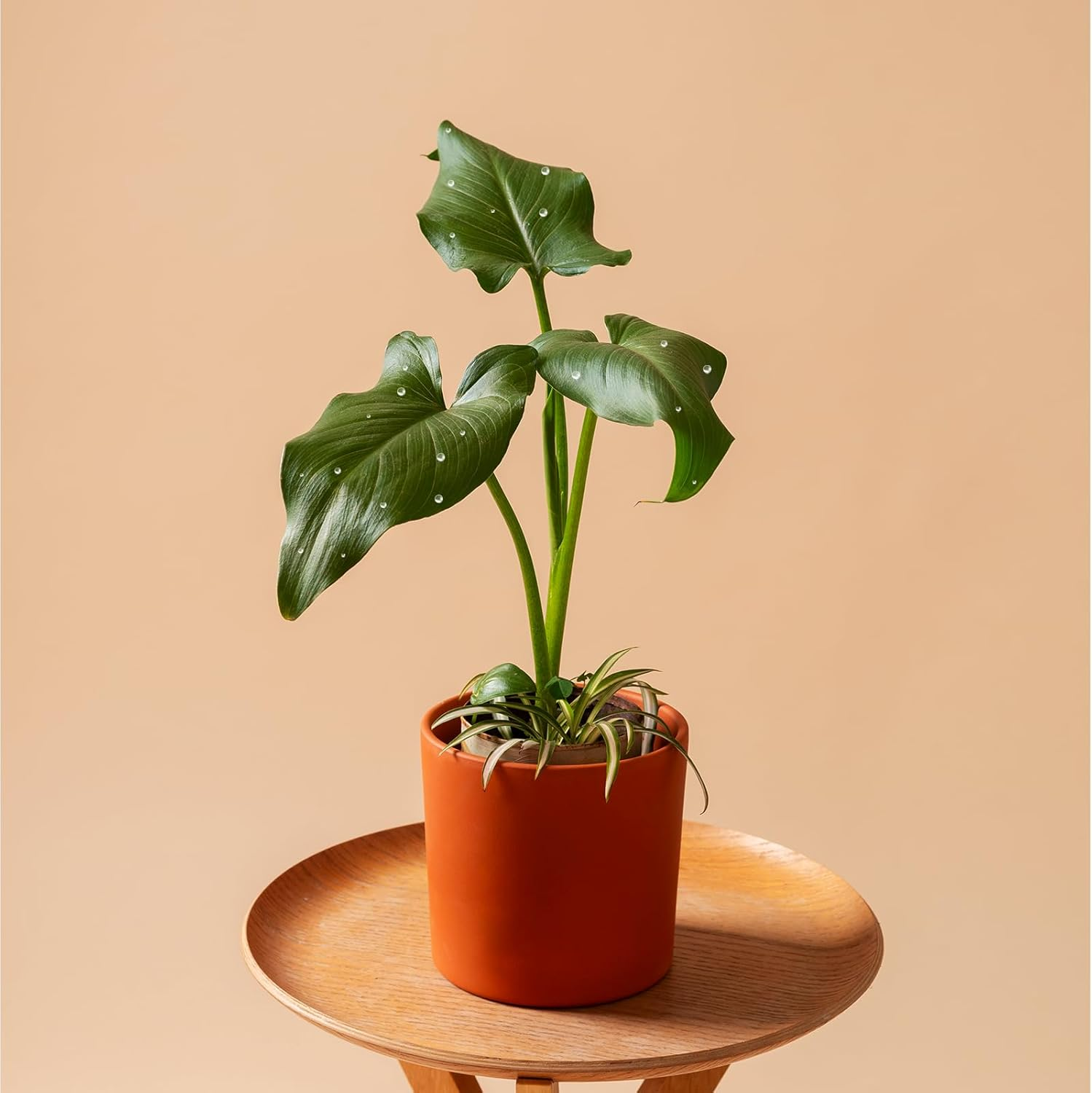 BEZANU Dewdrop Embellishments, 350 PCS Acrylic Clear Cabochons for DIY Crafts, Decor Accessories (4 Size) image number 6