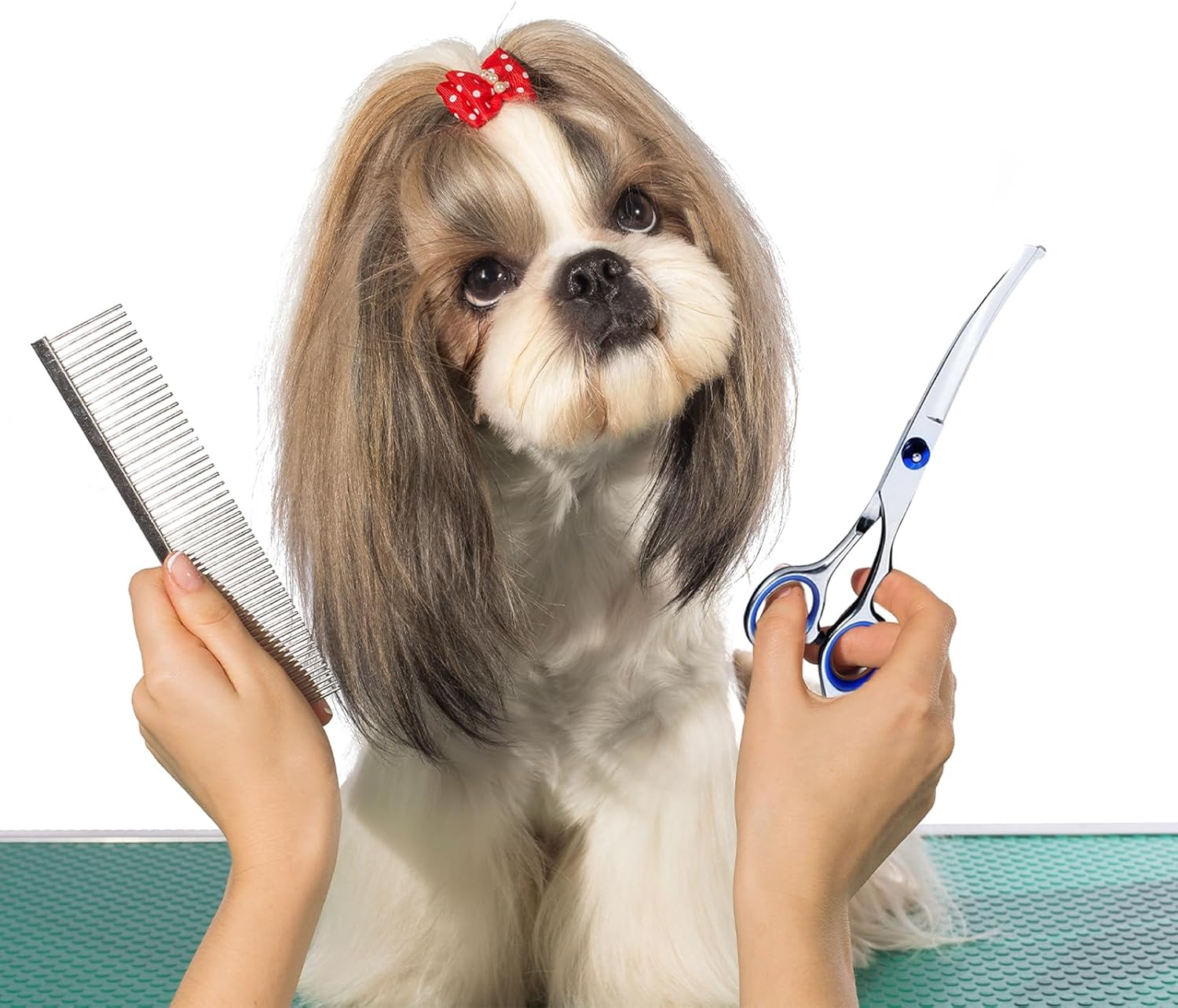 Lithyc Dog Scissors, Pet Grooming Scissors, Curved Dog Scissors, Cat Grooming Scissors, Professional round Grooming Scissors, Pet Care Tools Made of Stainless Steel image number 1